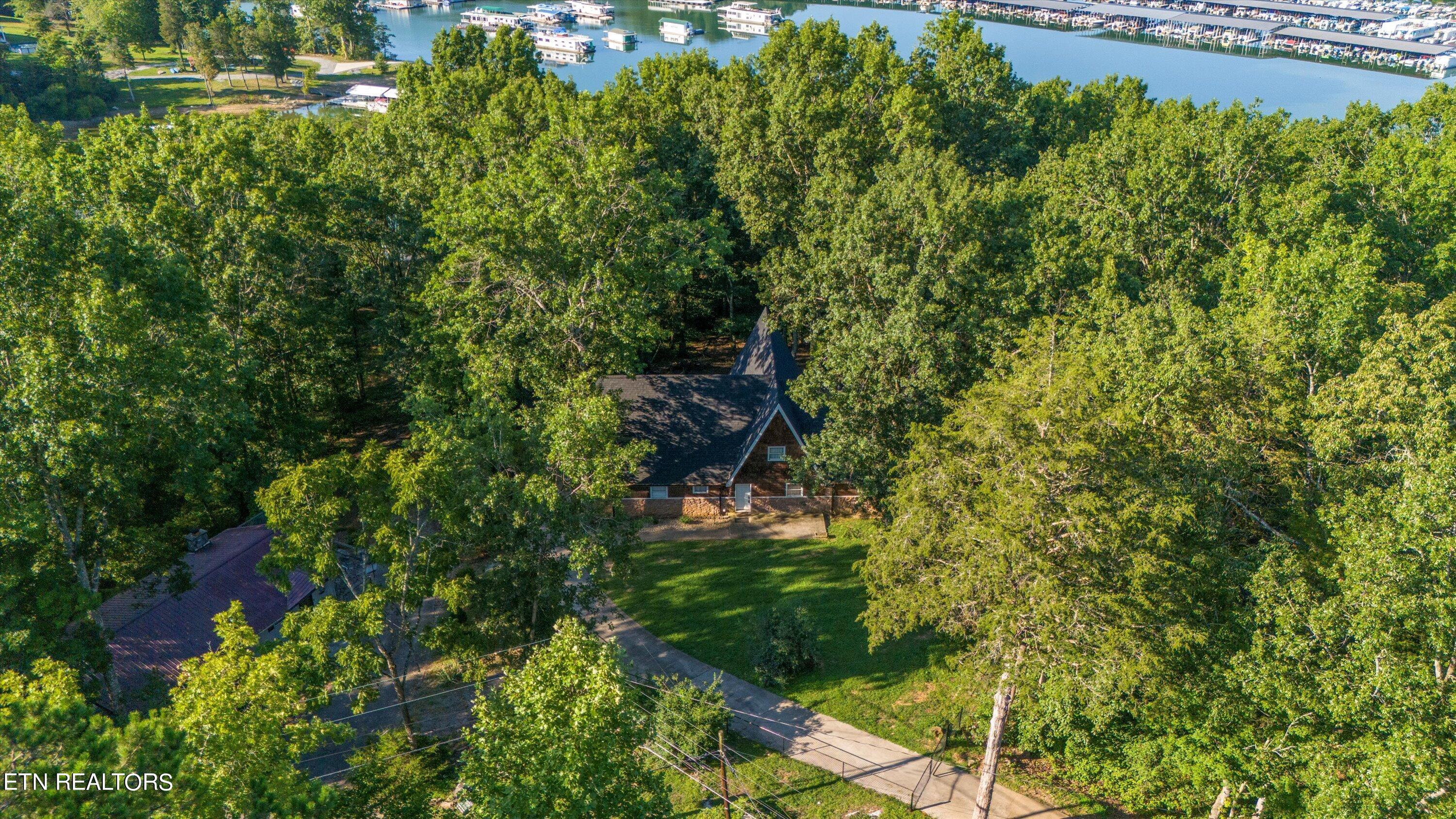 Norris Lake Real Estate - Image# 11