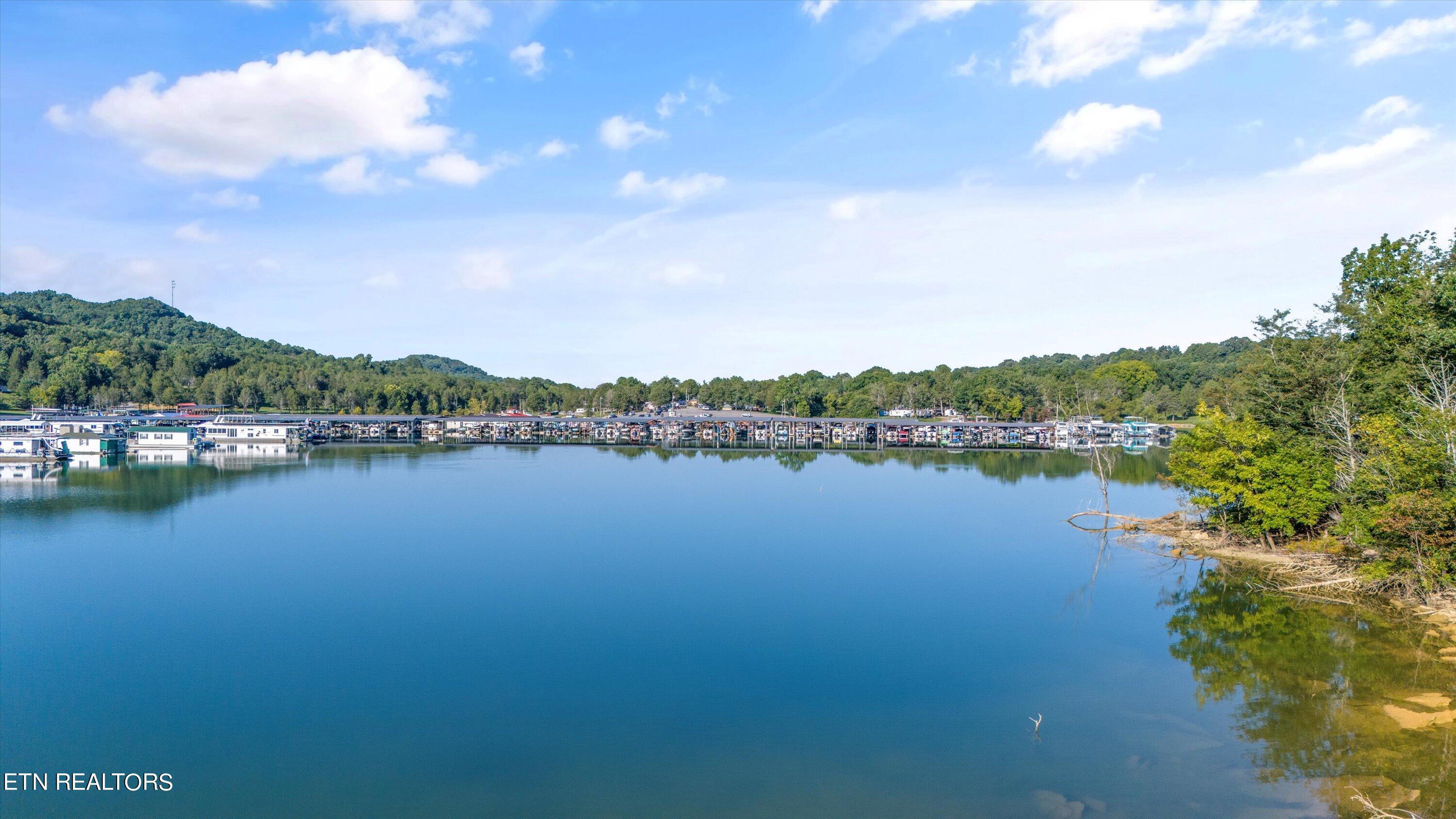 Norris Lake Real Estate - Image# 18