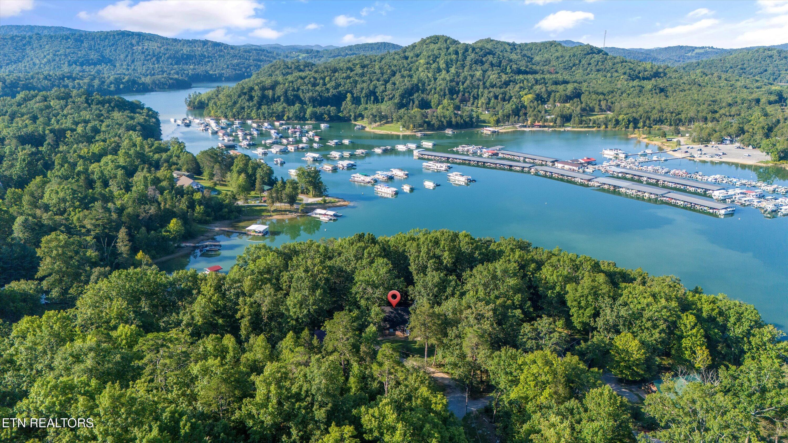 Norris Lake Real Estate - Image# 19