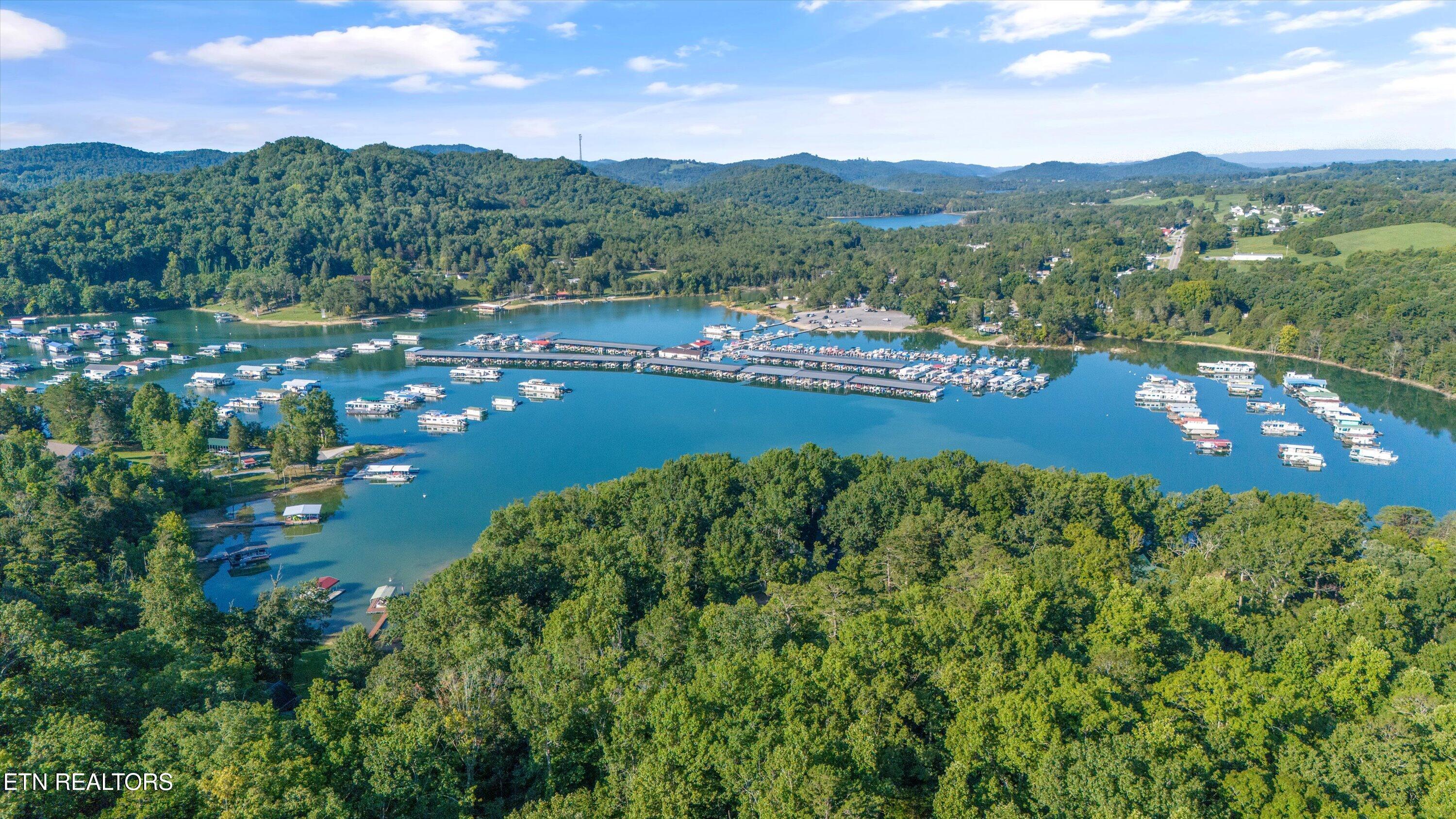 Norris Lake Real Estate - Image# 20