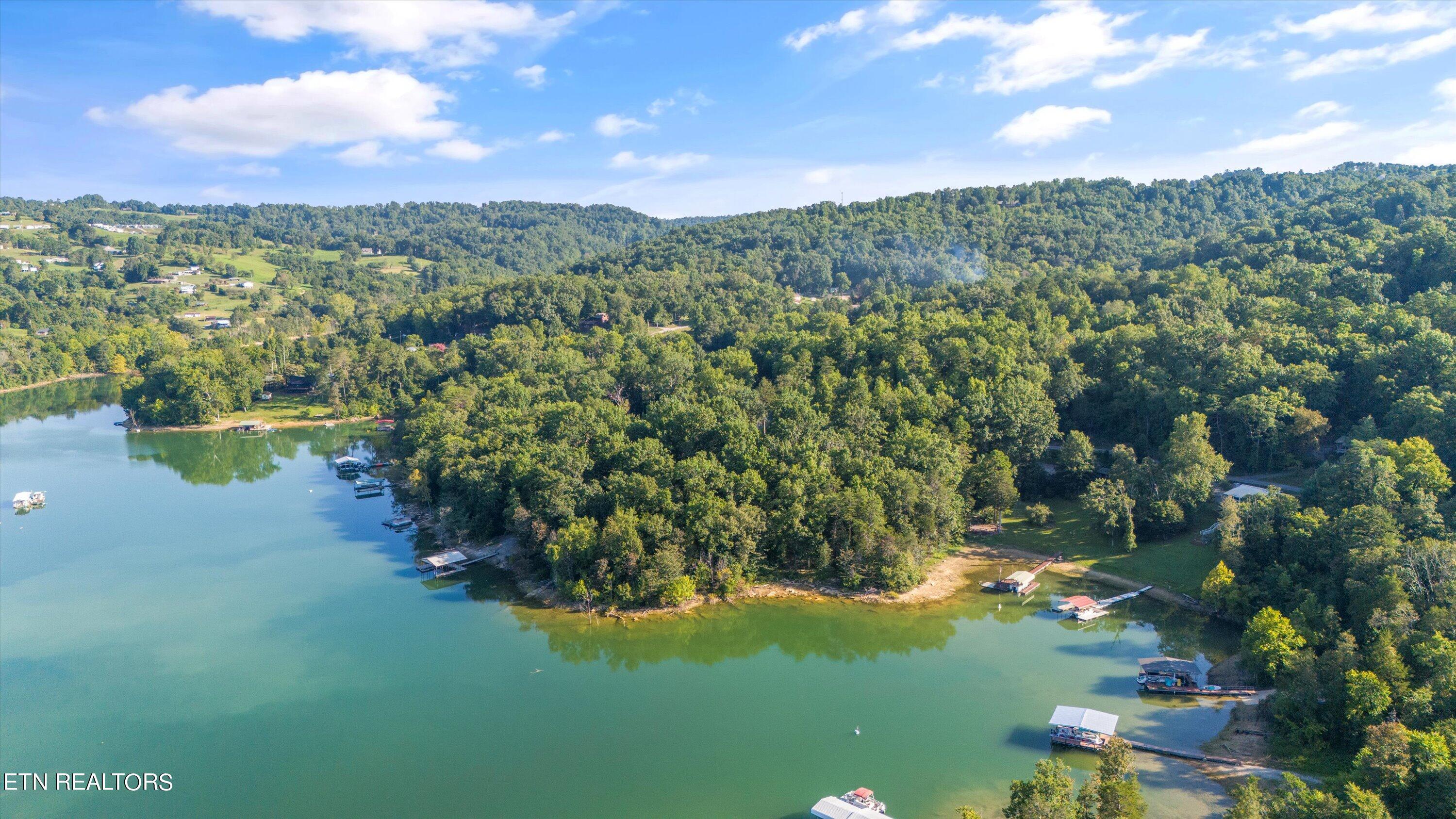 Norris Lake Real Estate - Image# 21