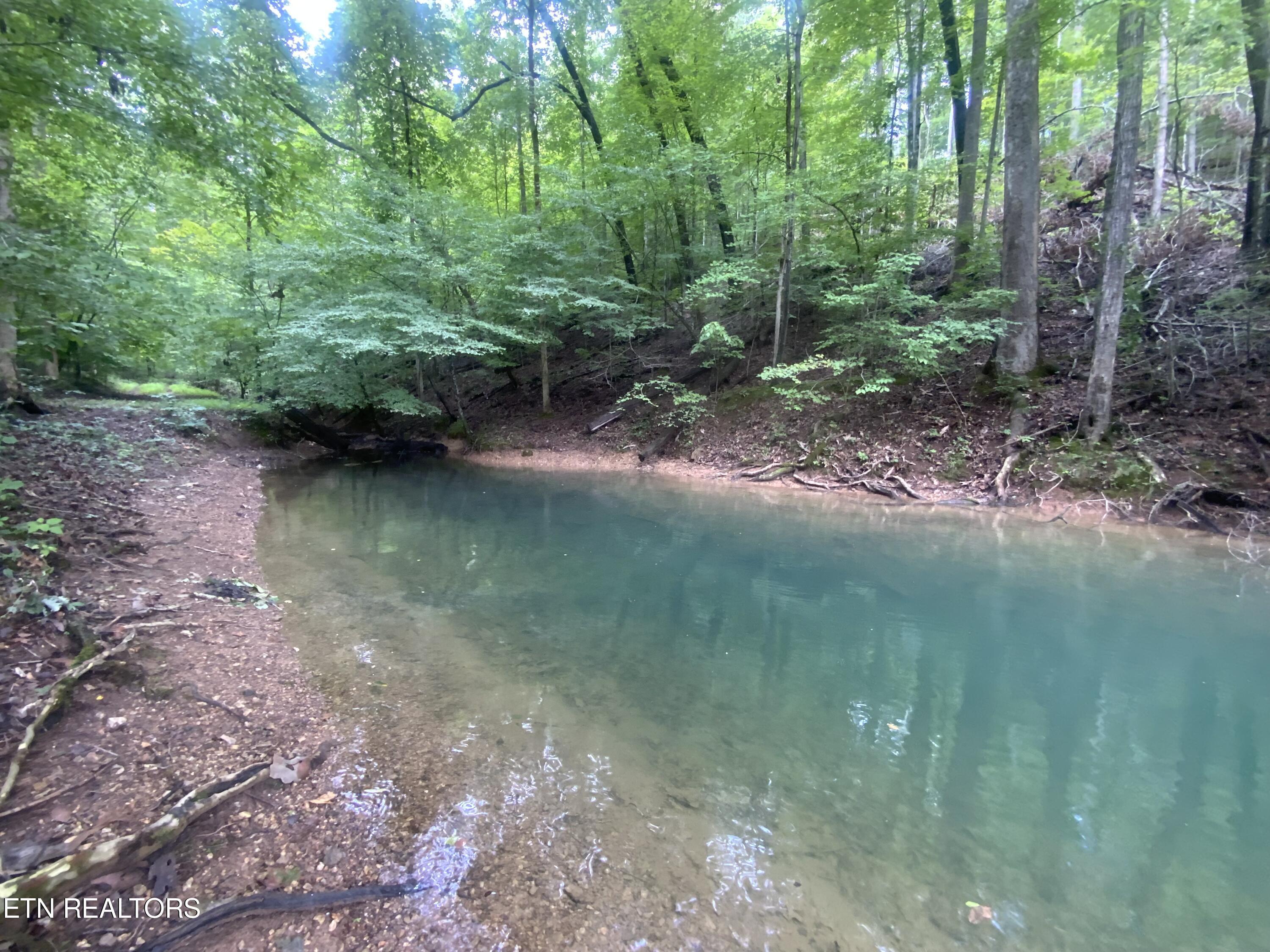 Norris Lake Real Estate - Image# 2