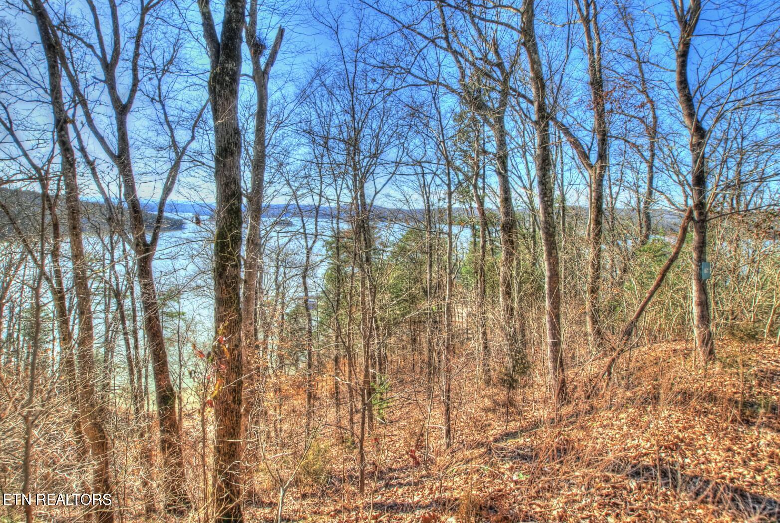 Norris Lake Real Estate - Image# 3