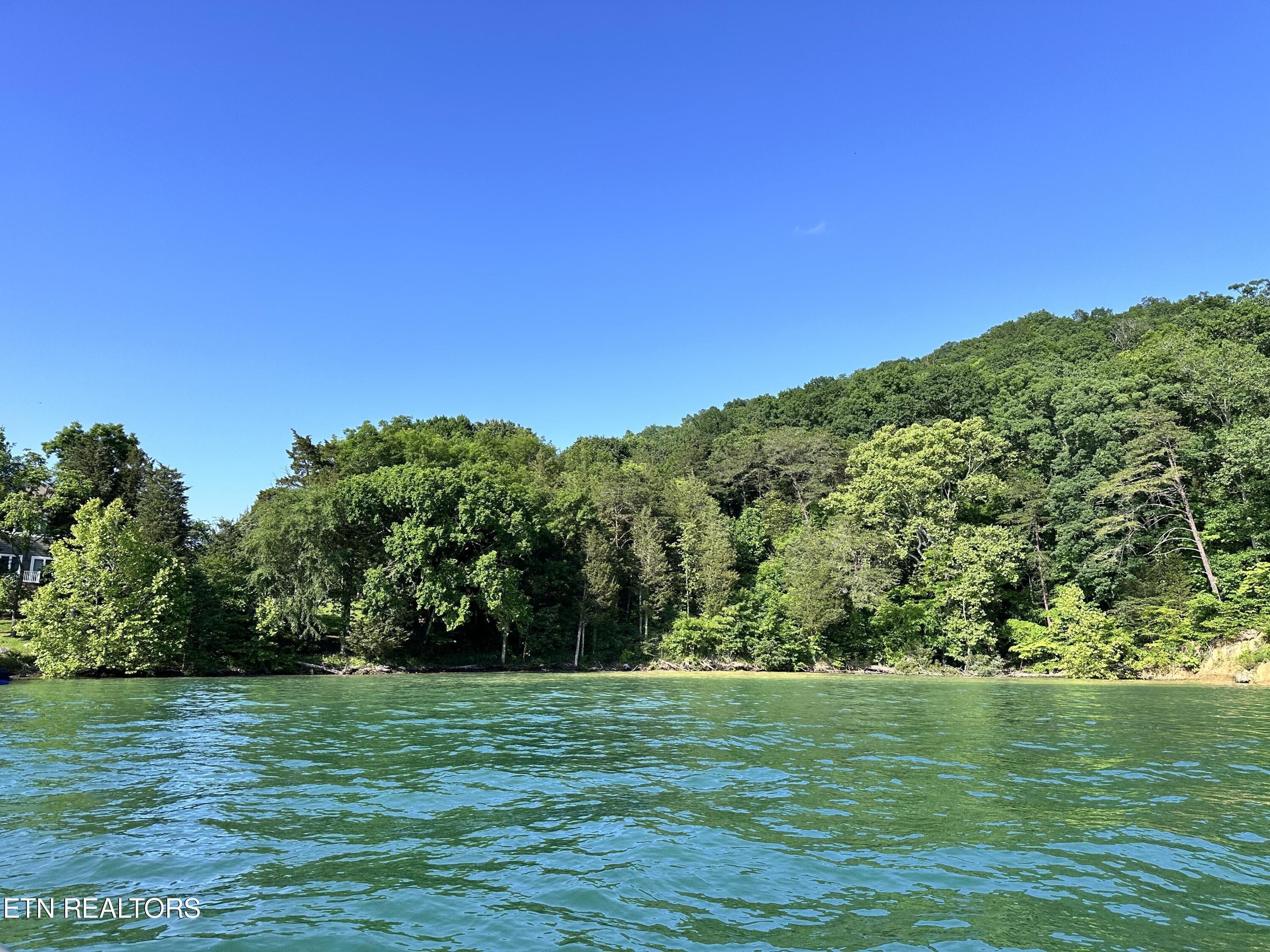 Norris Lake Real Estate - Image# 6