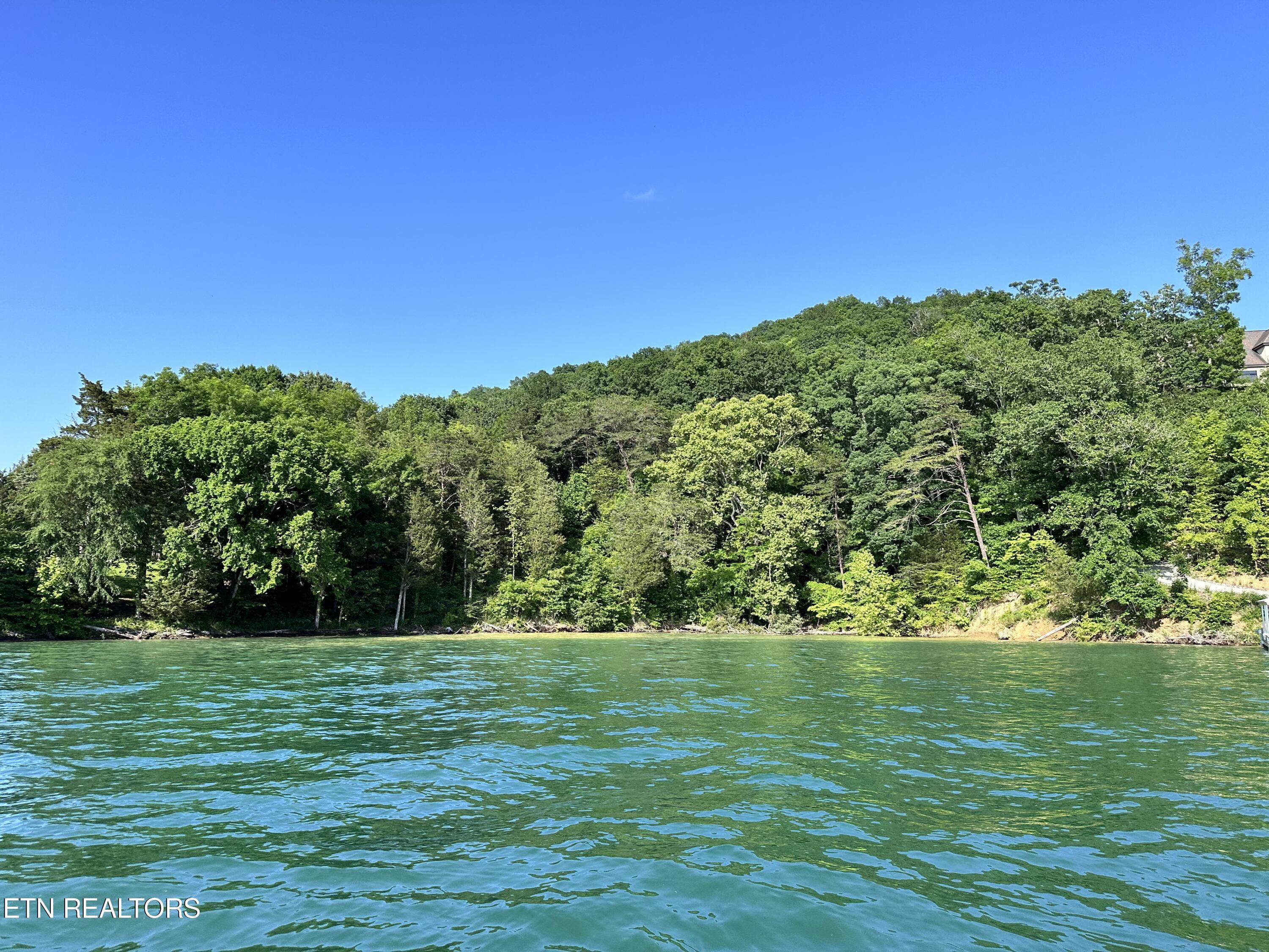 Norris Lake Real Estate - Image# 2