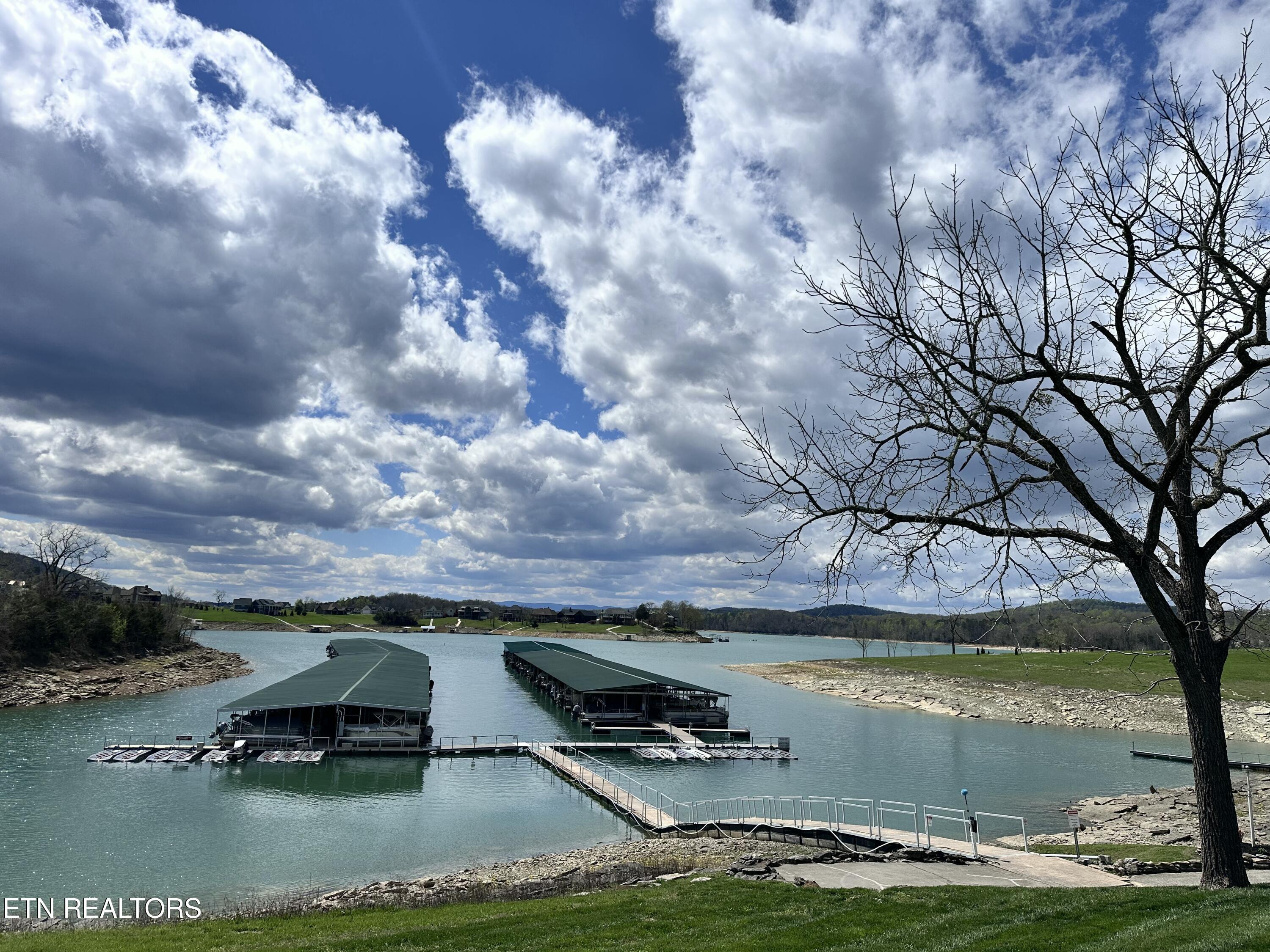 Norris Lake Real Estate - Image# 13