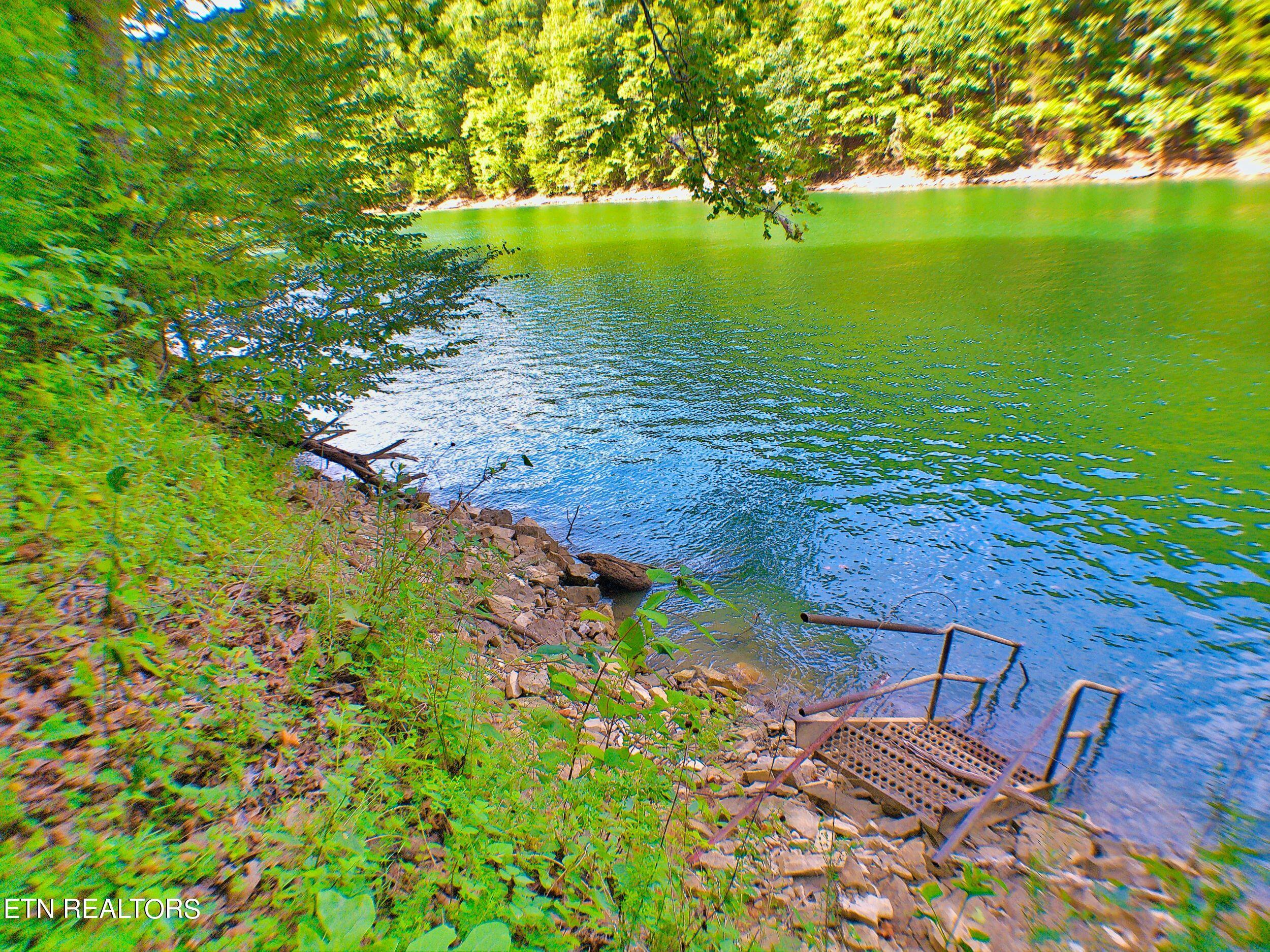 Norris Lake Real Estate - Image# 4