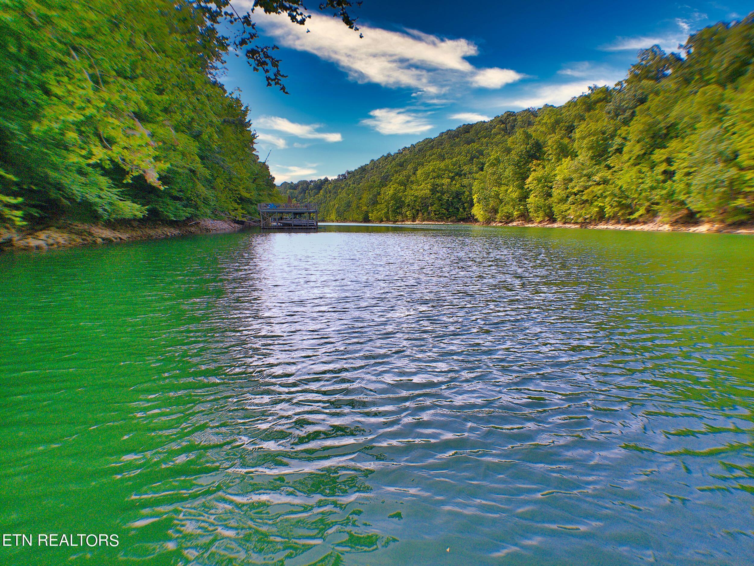 Norris Lake Real Estate - Image# 11