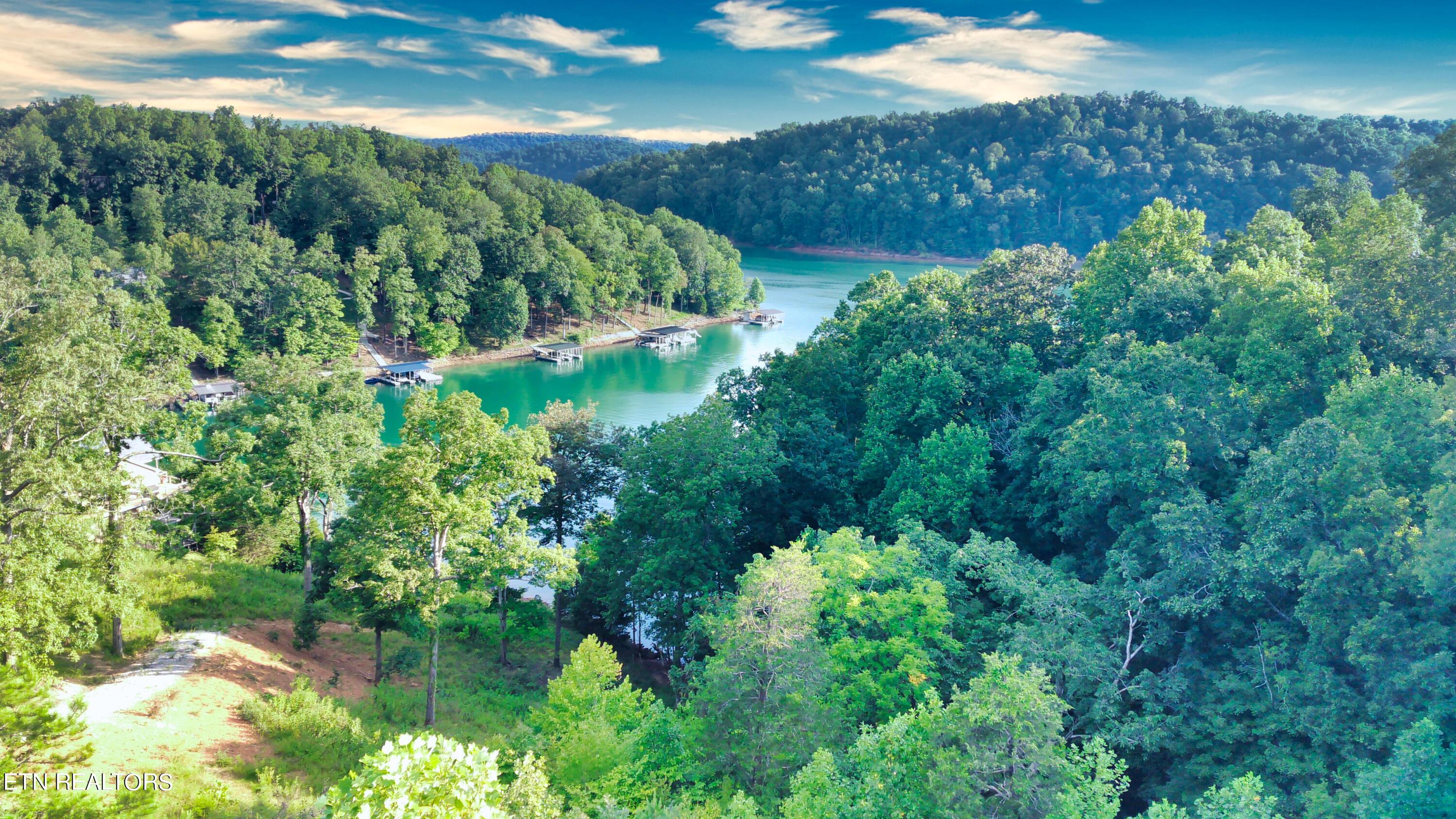 Norris Lake Real Estate - Image# 6