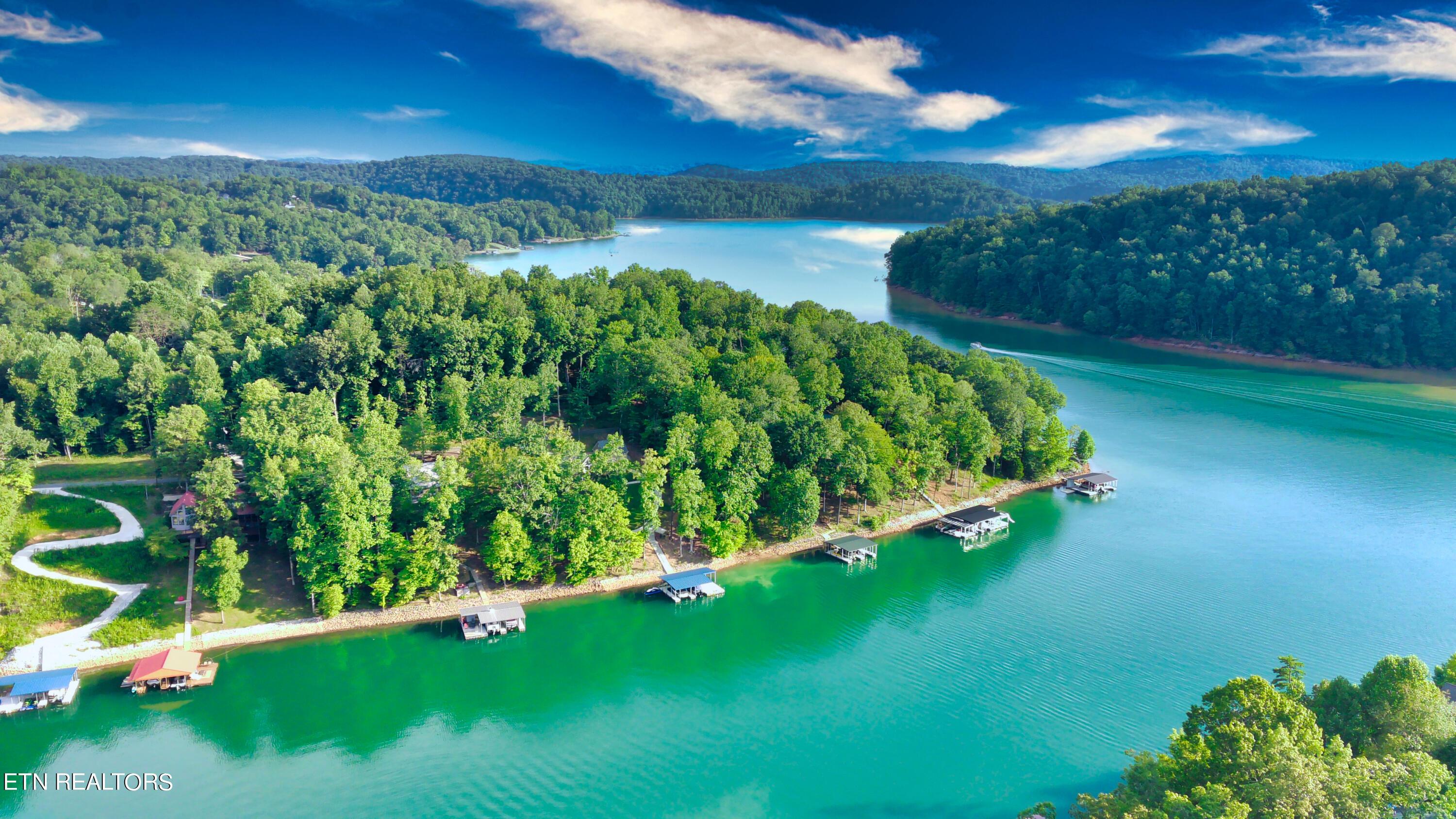 Norris Lake Real Estate - Image# 5