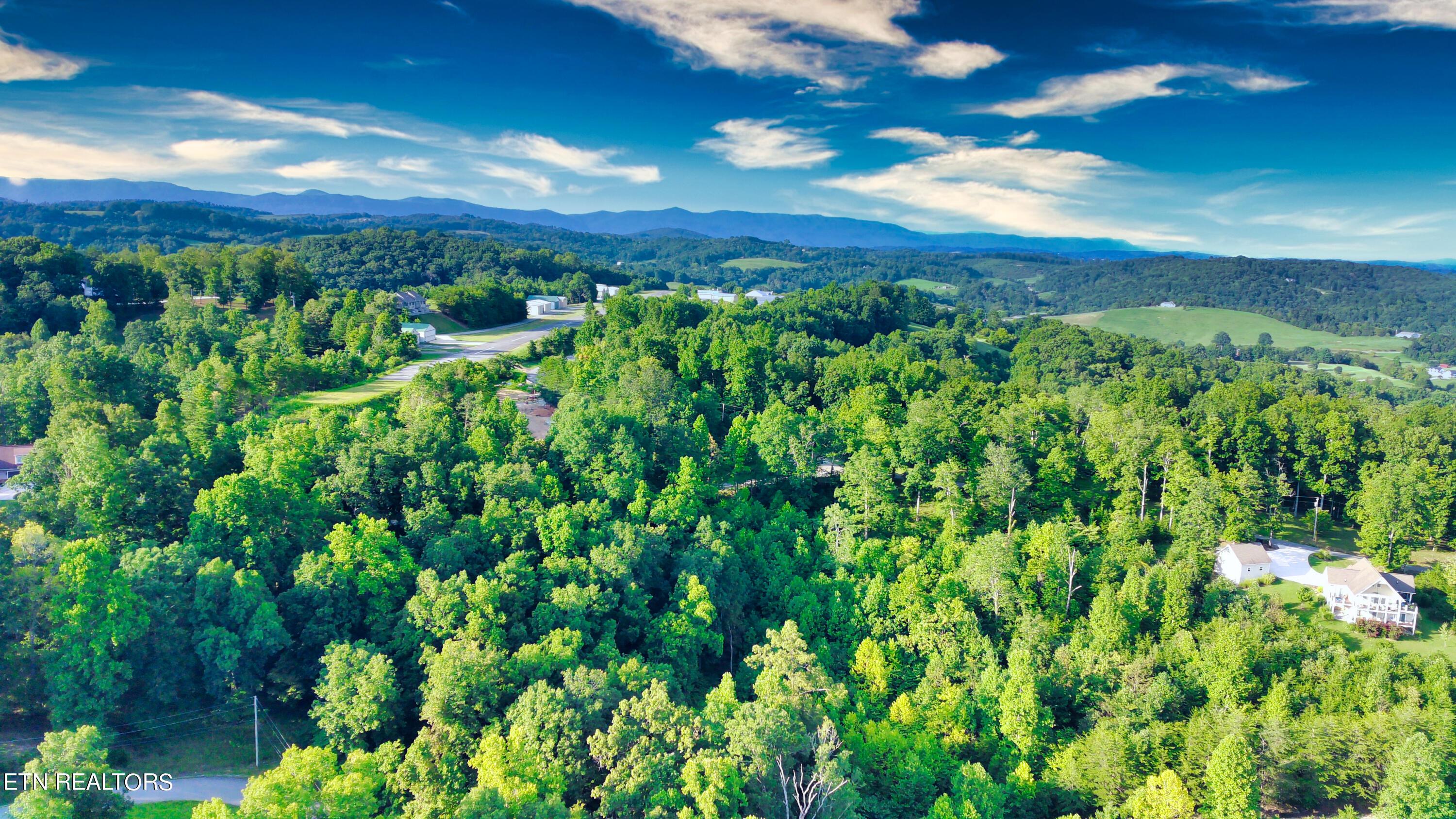 Norris Lake Real Estate - Image# 15