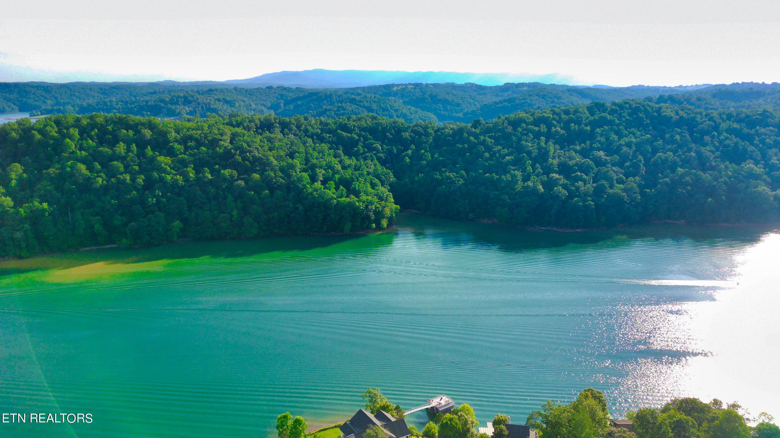 Norris Lake Real Estate - Image# 11