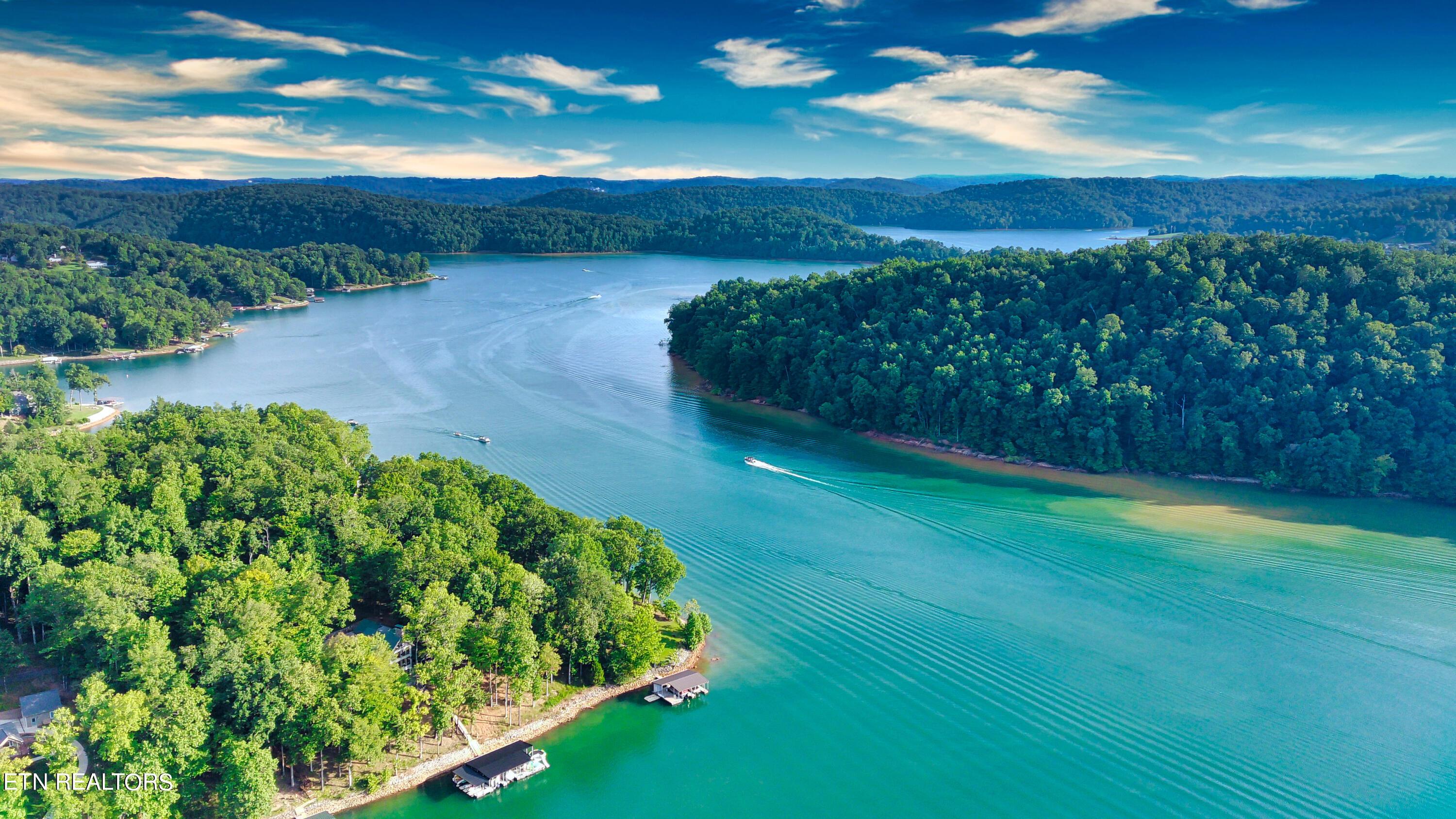 Norris Lake Real Estate - Image# 10