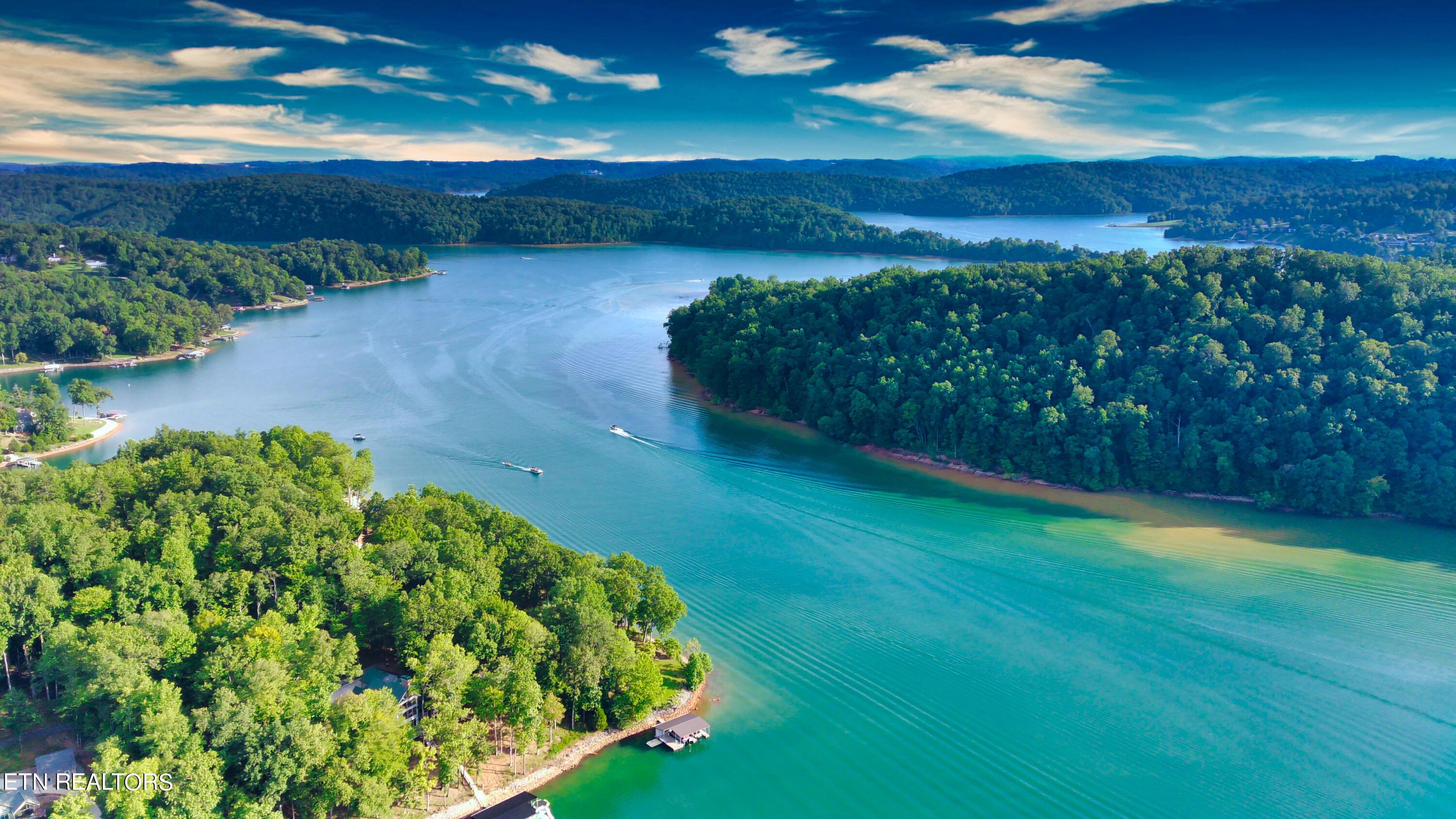 Norris Lake Real Estate - Image# 12