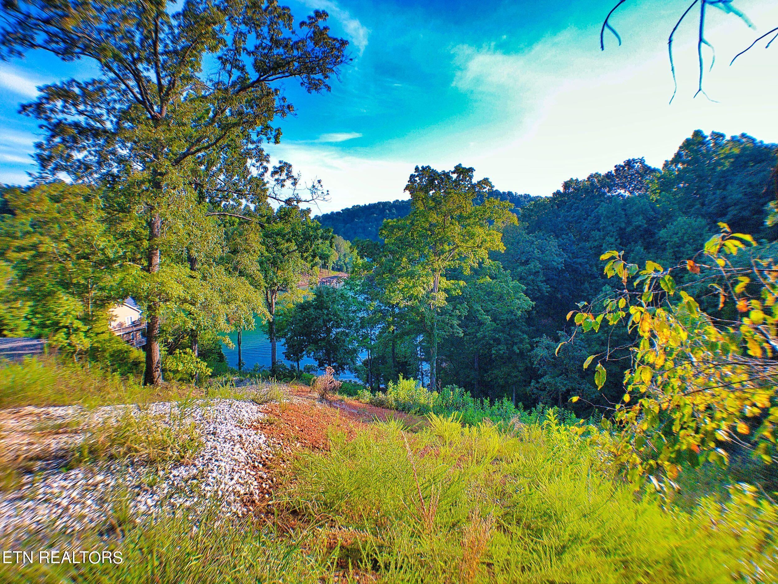 Norris Lake Real Estate - Image# 20