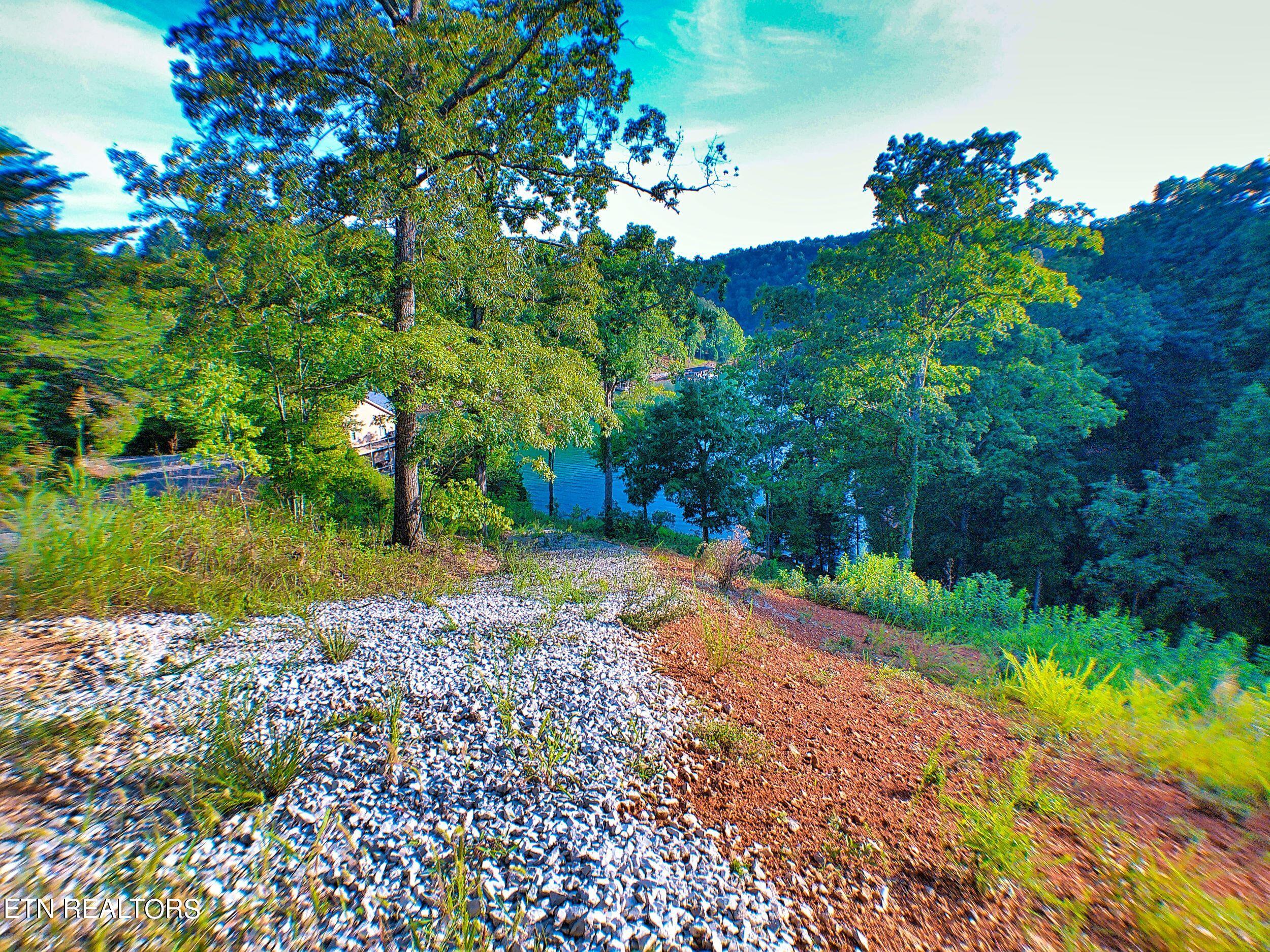 Norris Lake Real Estate - Image# 22