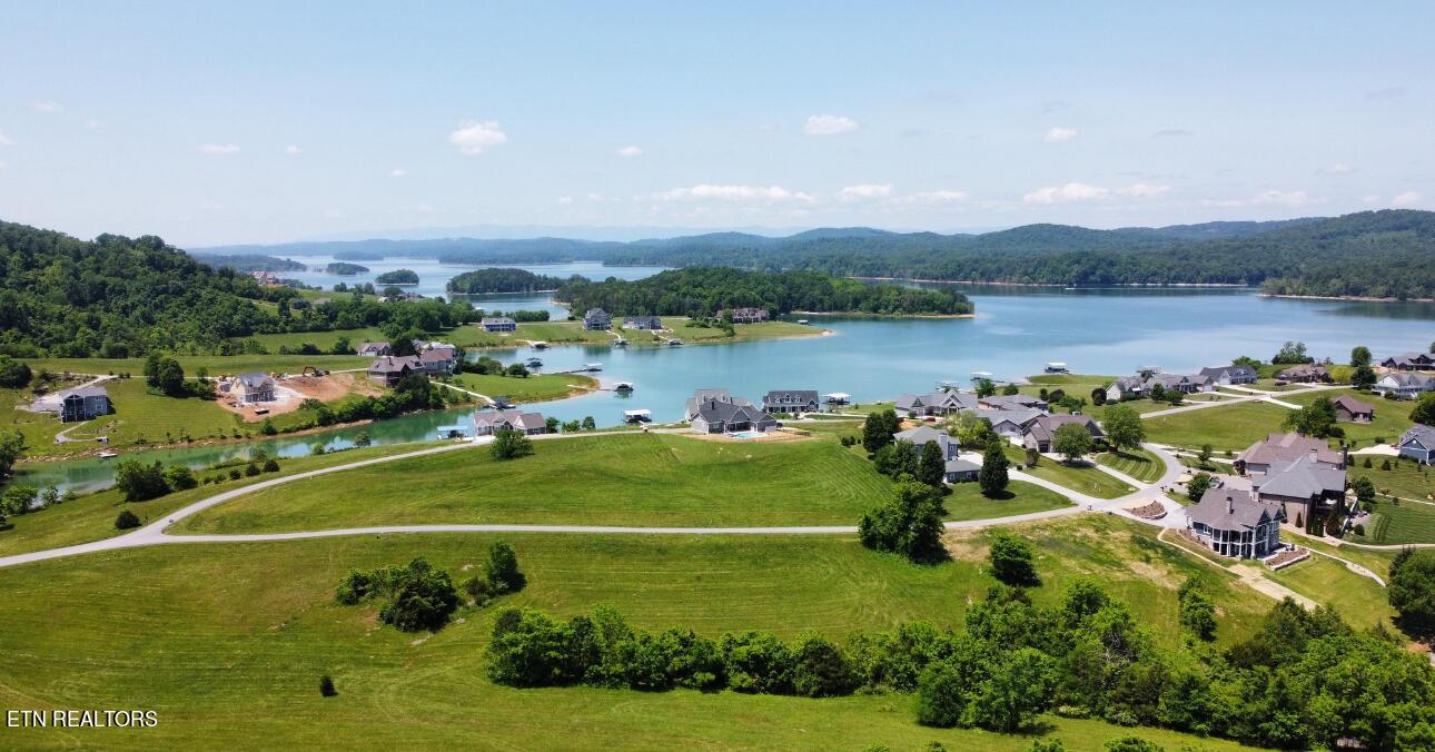 Norris Lake Real Estate - Image# 3