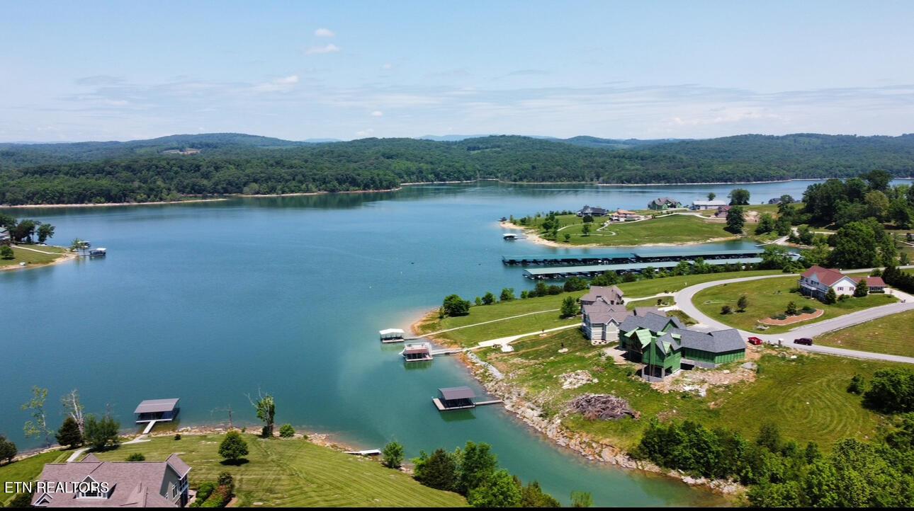 Norris Lake Real Estate - Image# 4