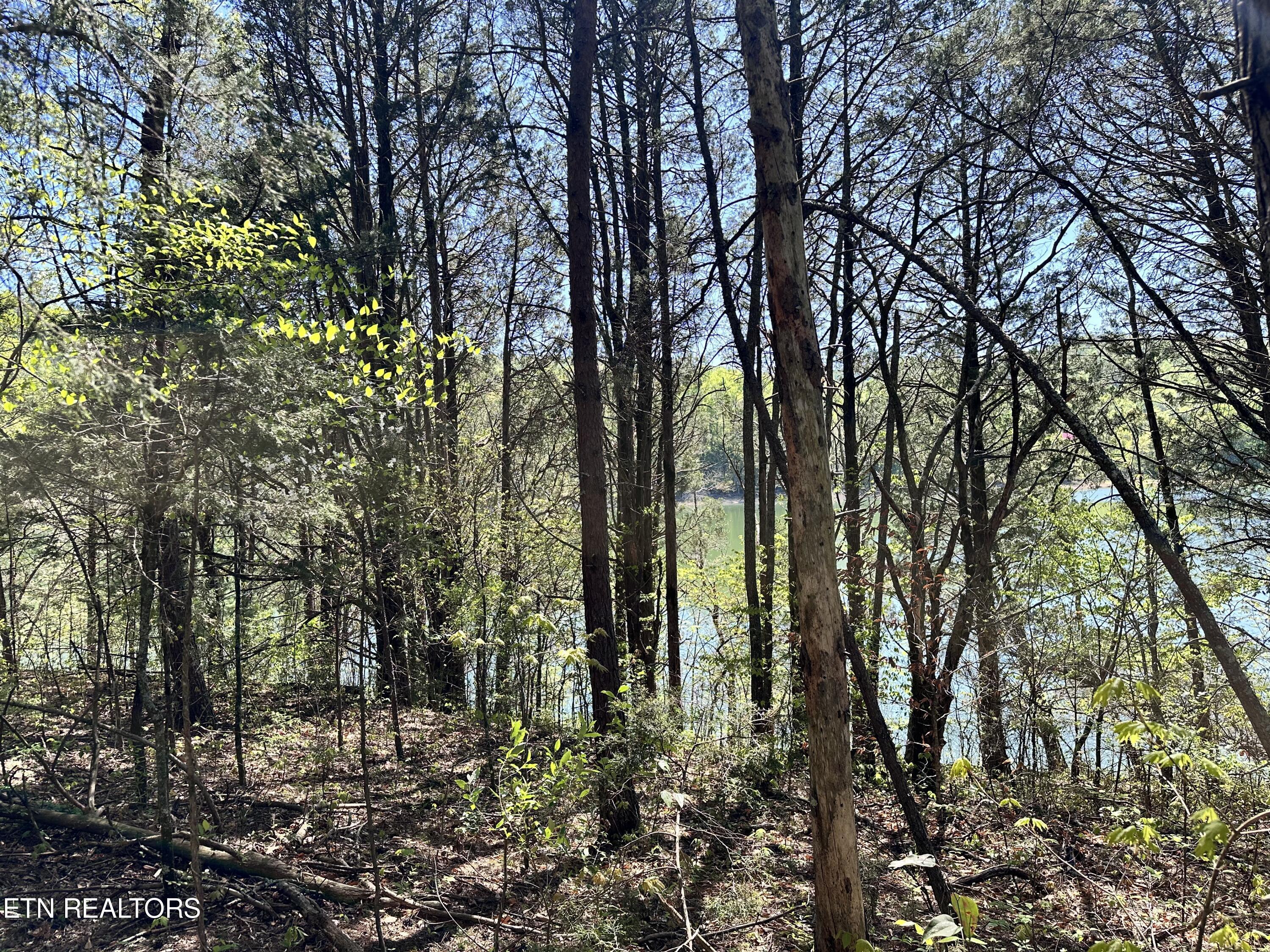 Norris Lake Real Estate - Image# 2