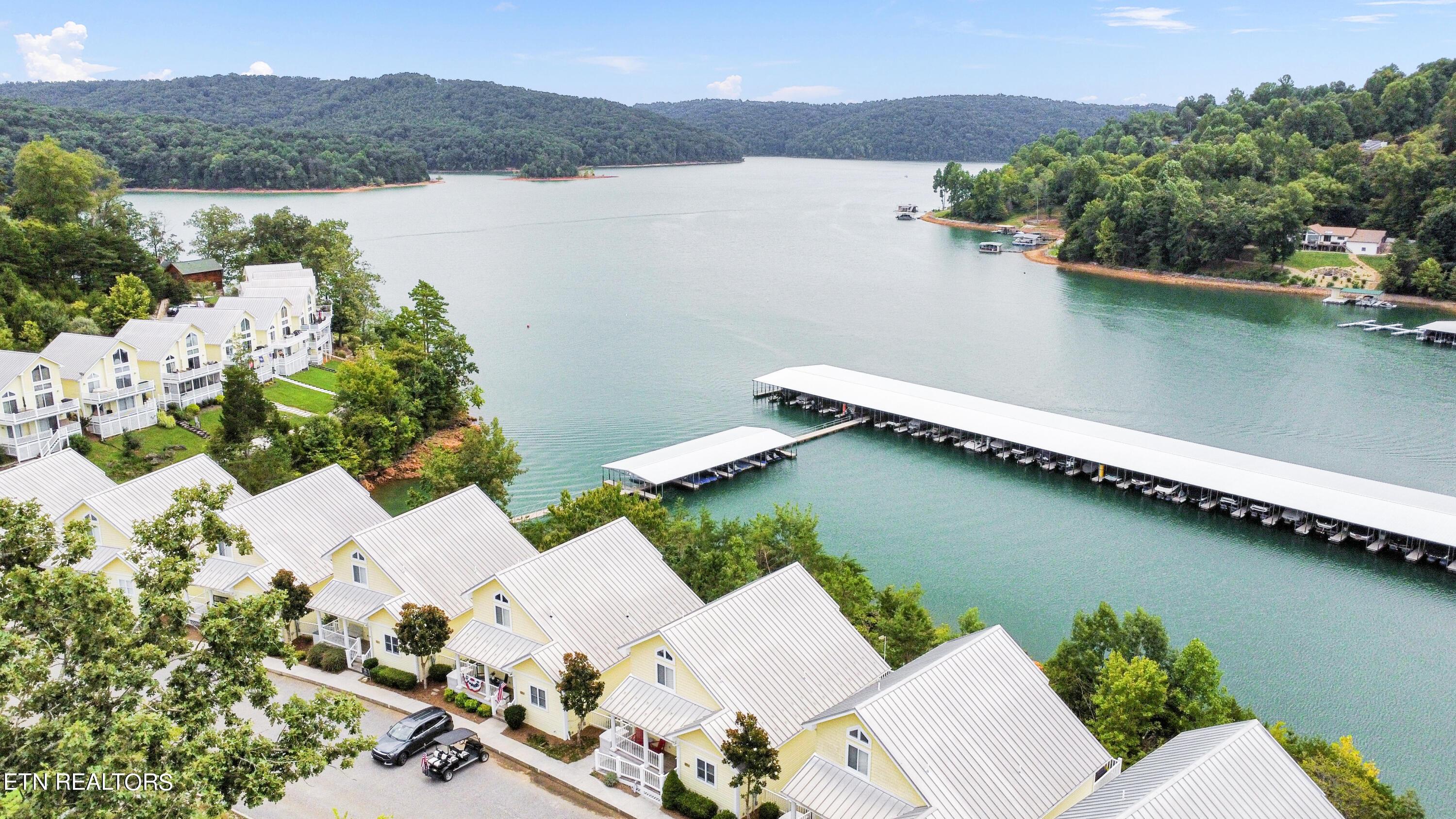 Norris Lake Real Estate - Image# 2