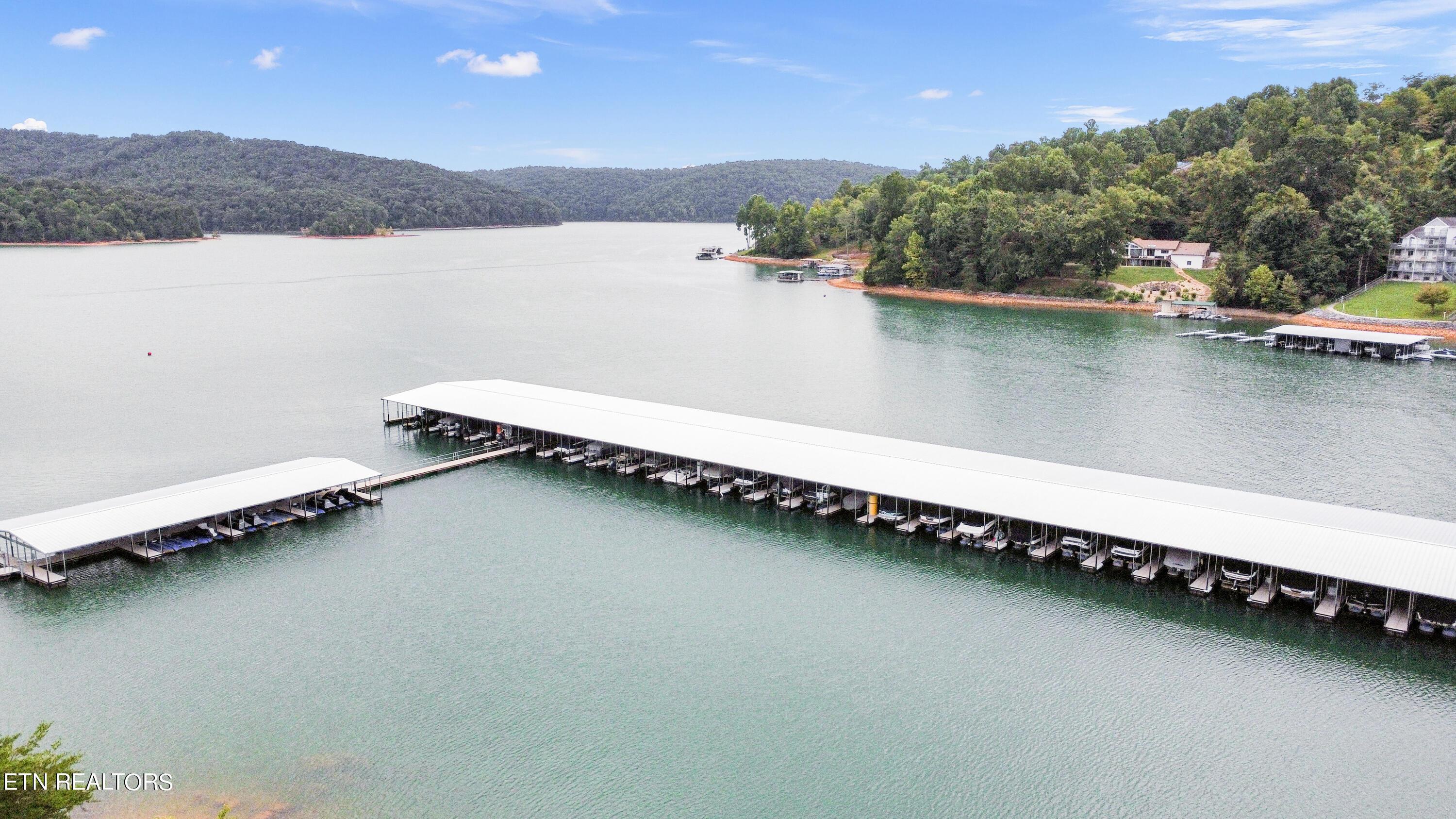 Norris Lake Real Estate - Image# 5