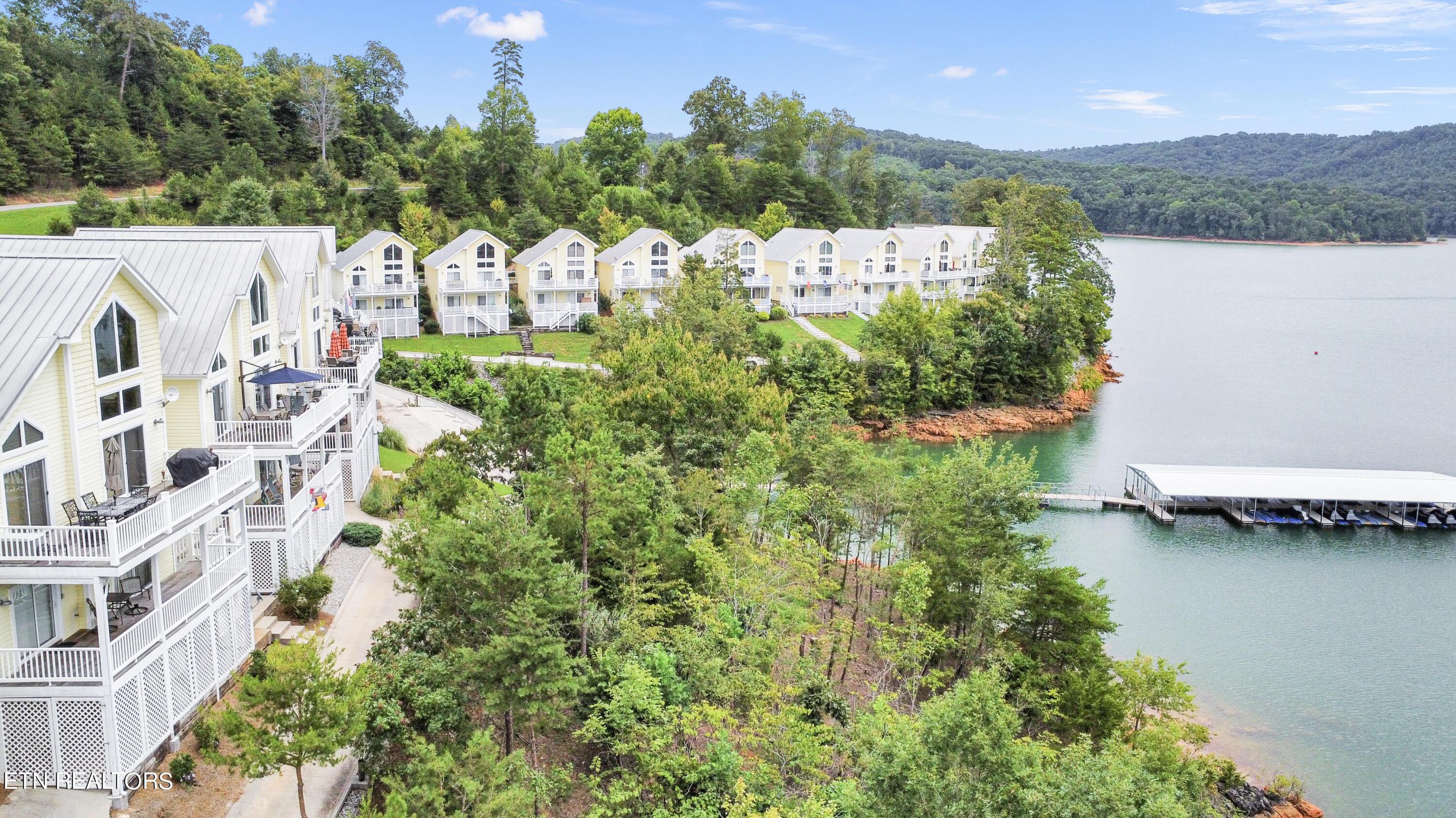 Norris Lake Real Estate - Image# 6