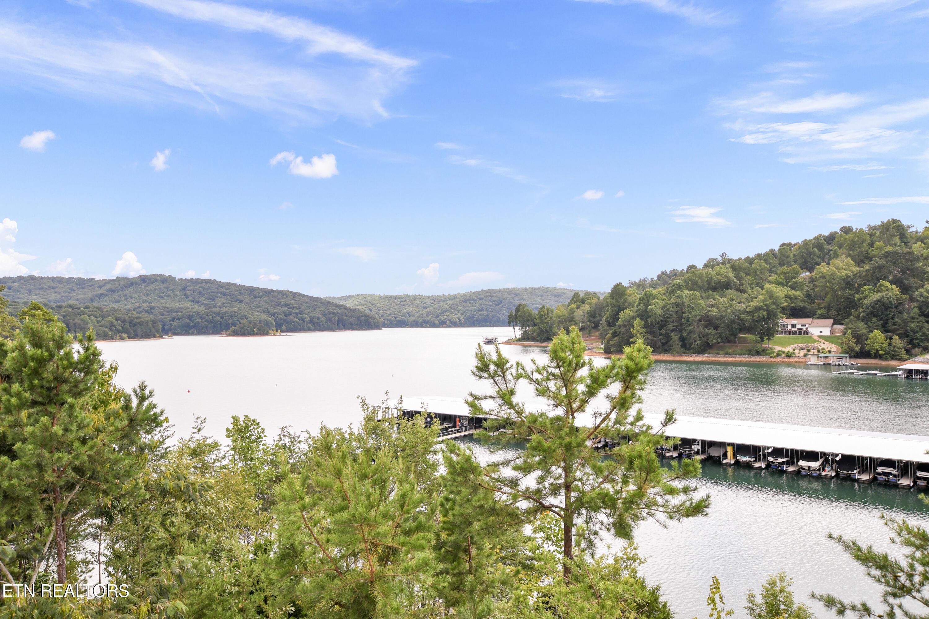 Norris Lake Real Estate - Image# 28