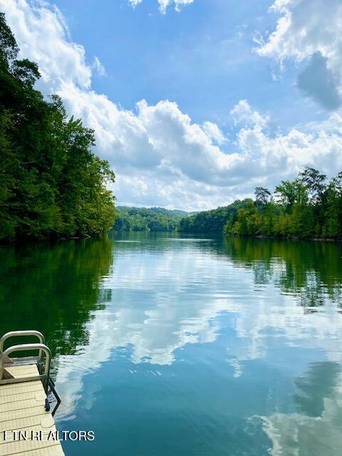 Norris Lake Real Estate - Image# 2