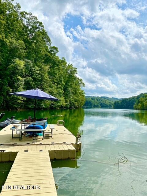 Norris Lake Real Estate - Image# 1