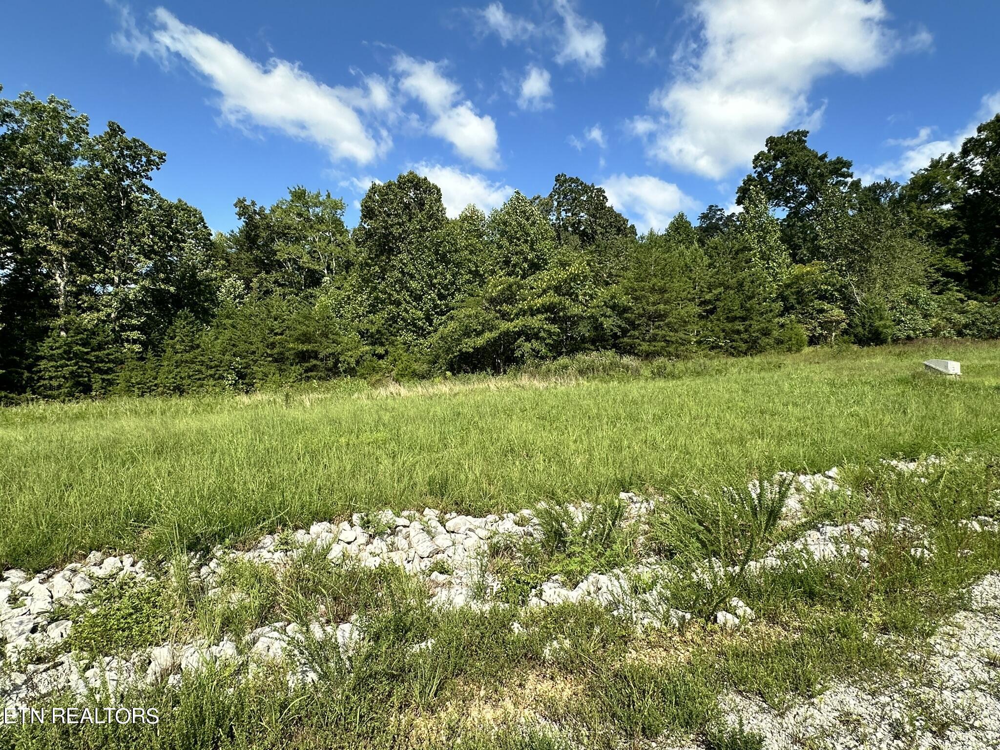 Norris Lake Real Estate - Image# 3