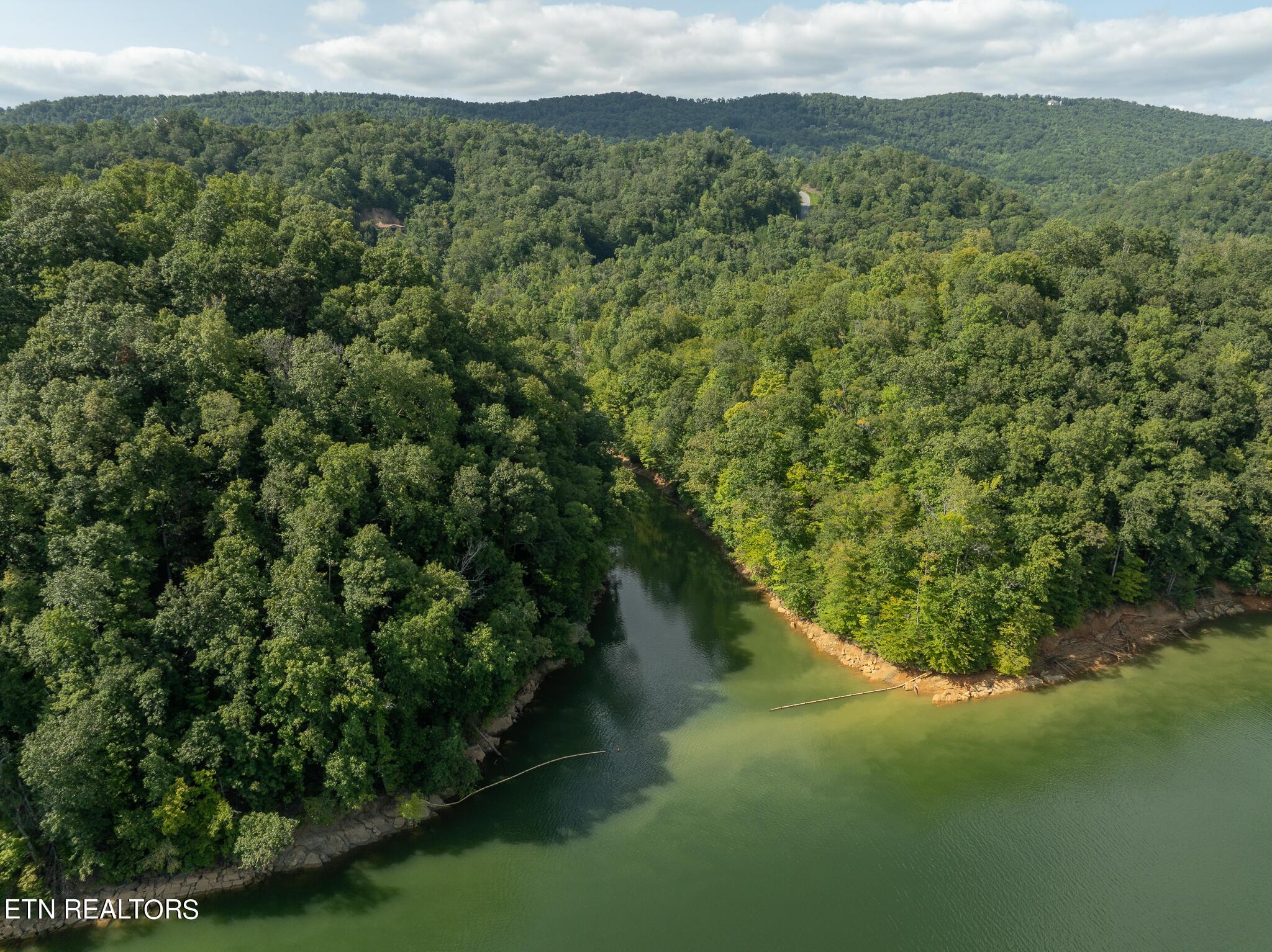 Norris Lake Real Estate - Image# 63