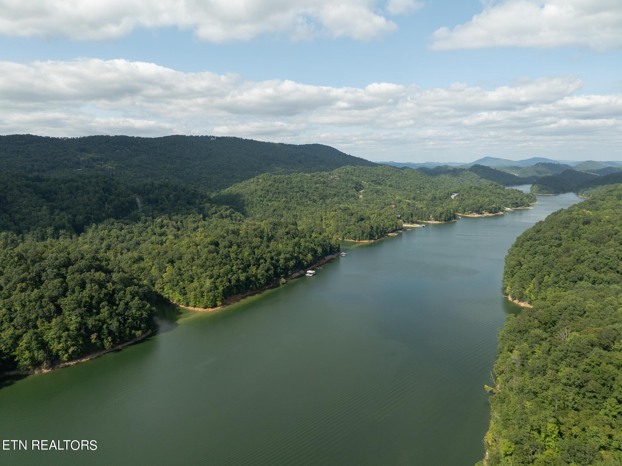 Norris Lake Real Estate - Image# 74