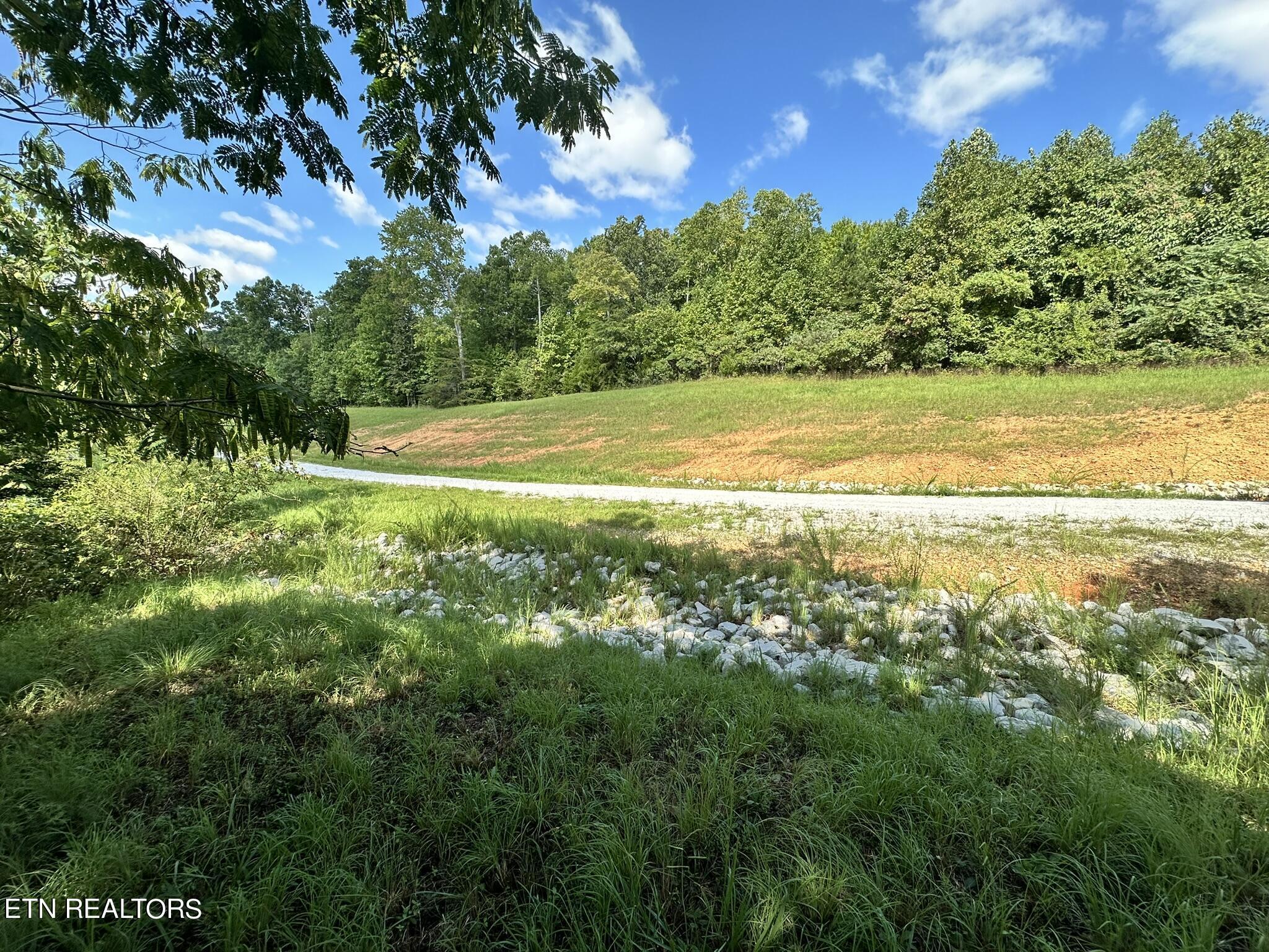 Norris Lake Real Estate - Image# 6