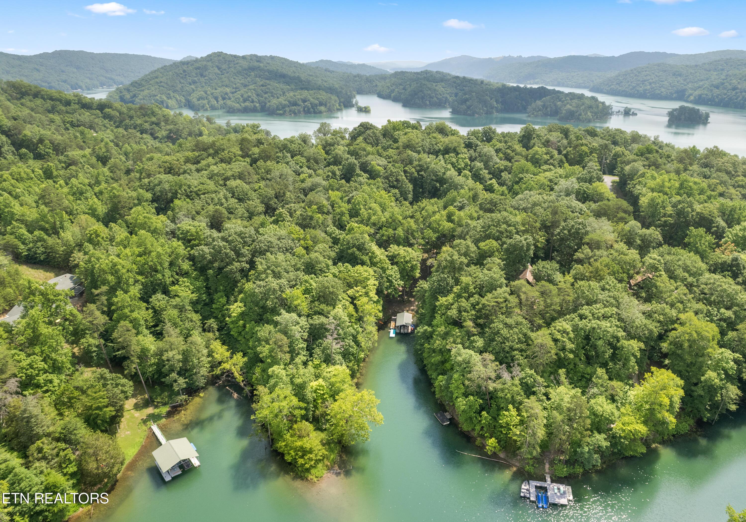 Norris Lake Real Estate - Image# 8