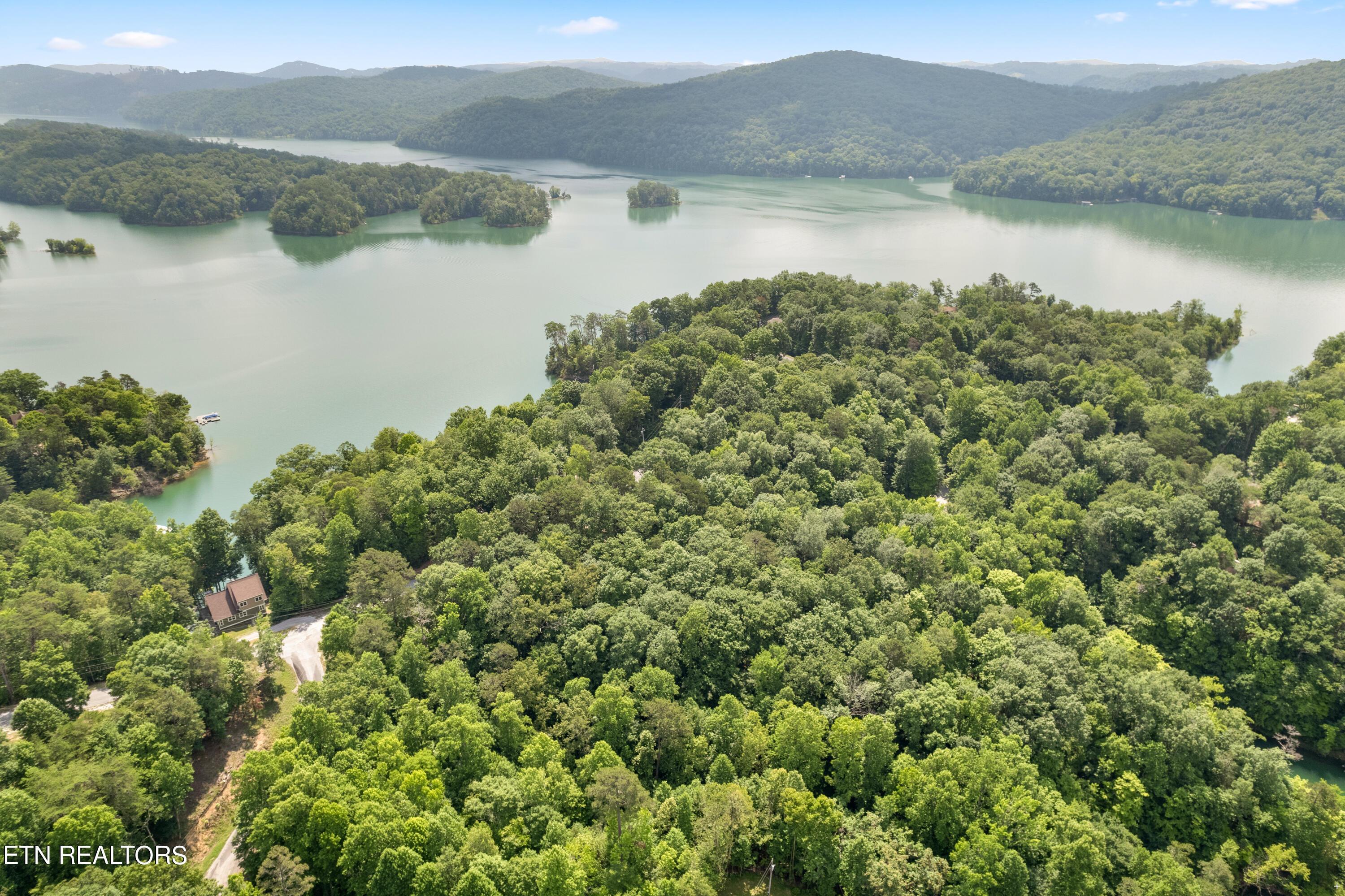 Norris Lake Real Estate - Image# 5