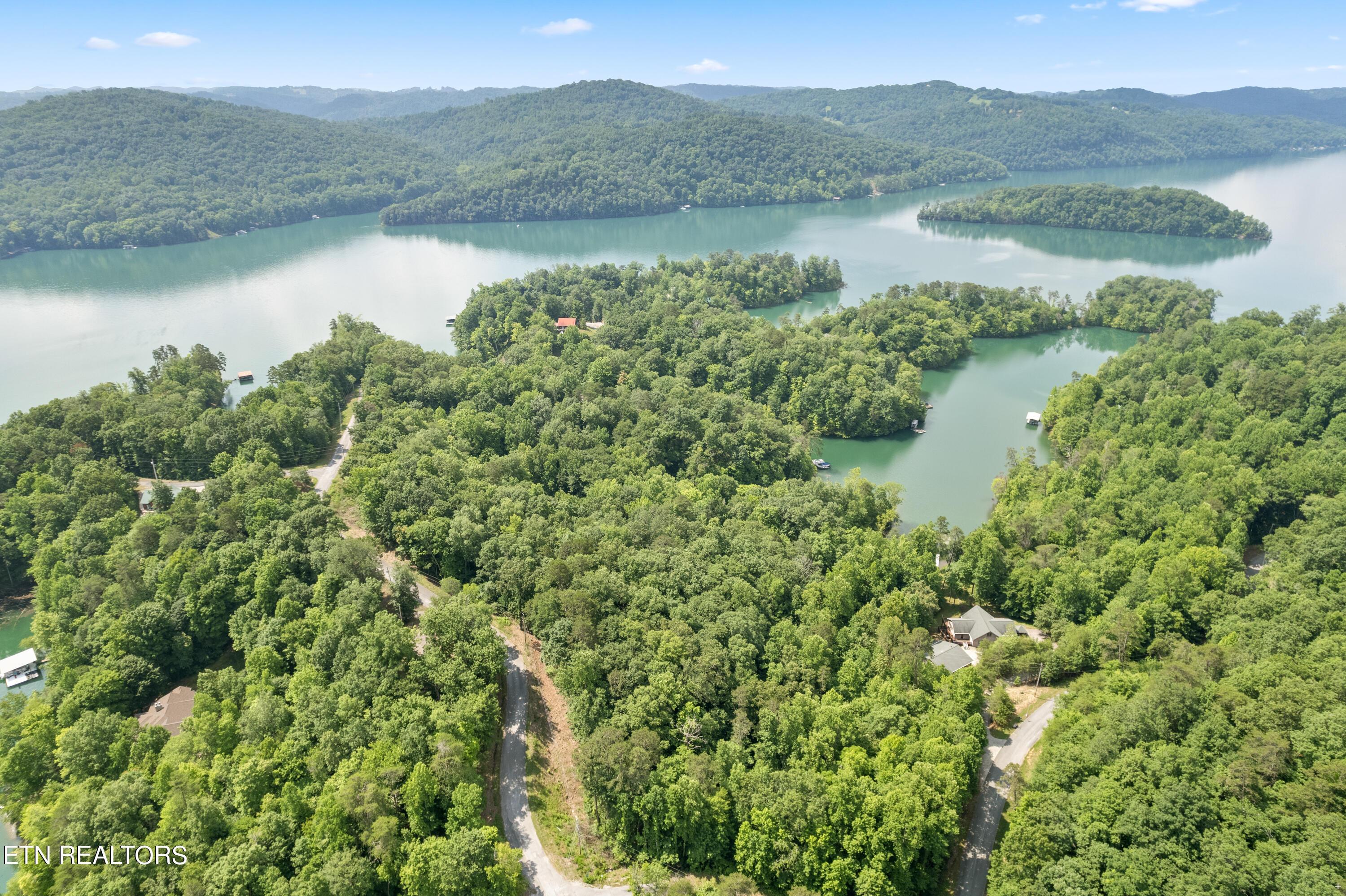 Norris Lake Real Estate - Image# 9