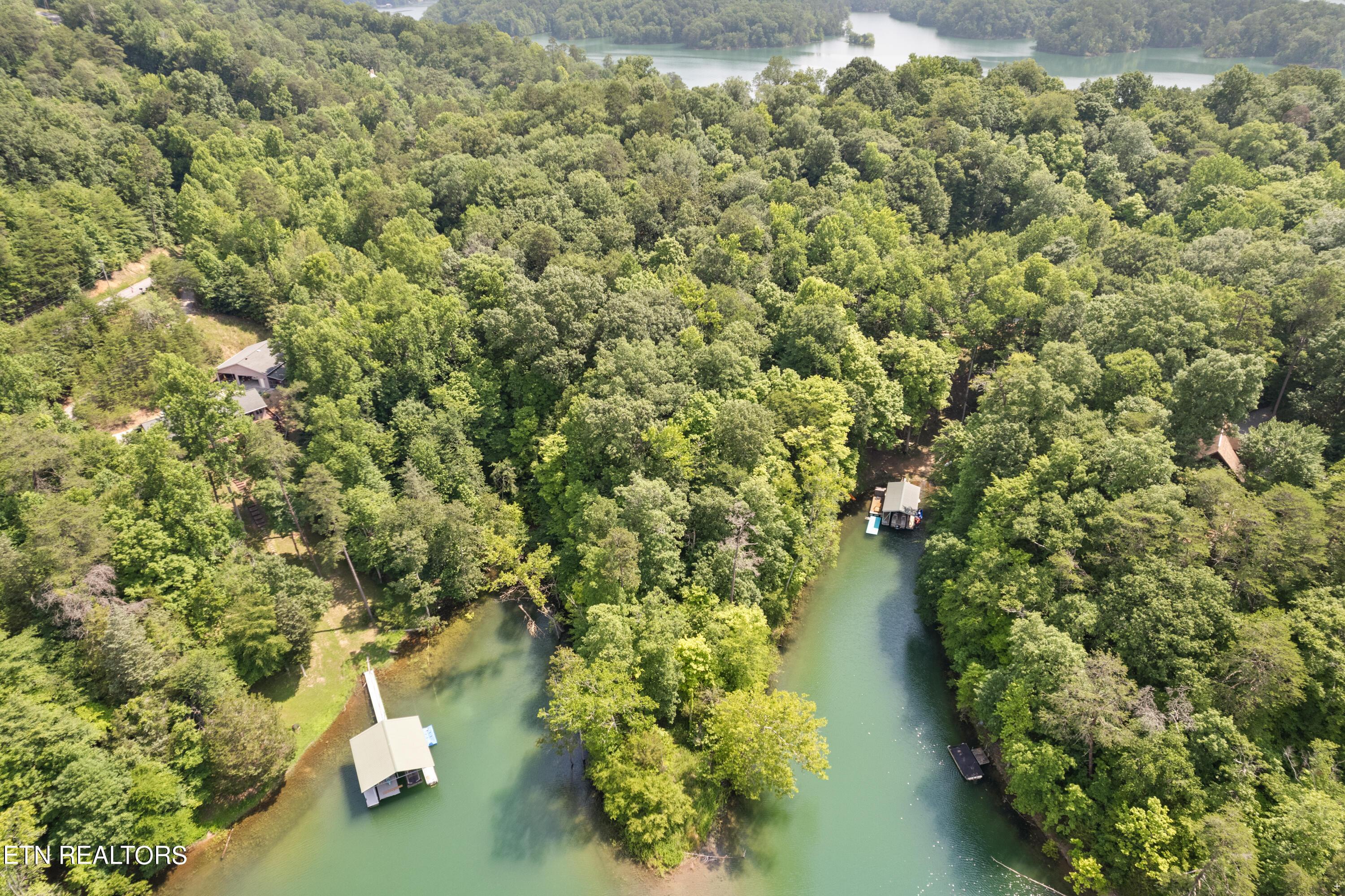 Norris Lake Real Estate - Image# 3