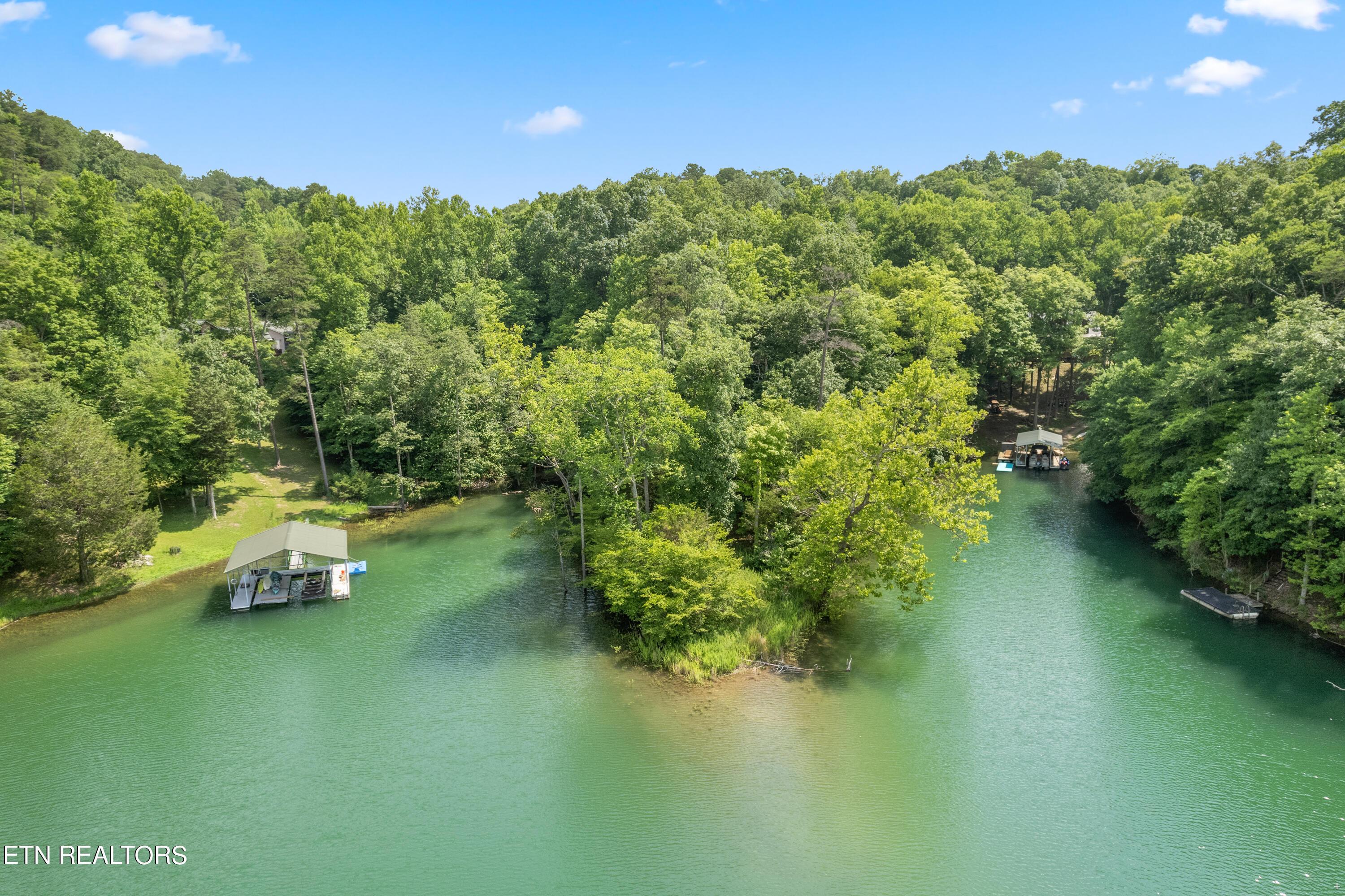 Norris Lake Real Estate - Image# 1