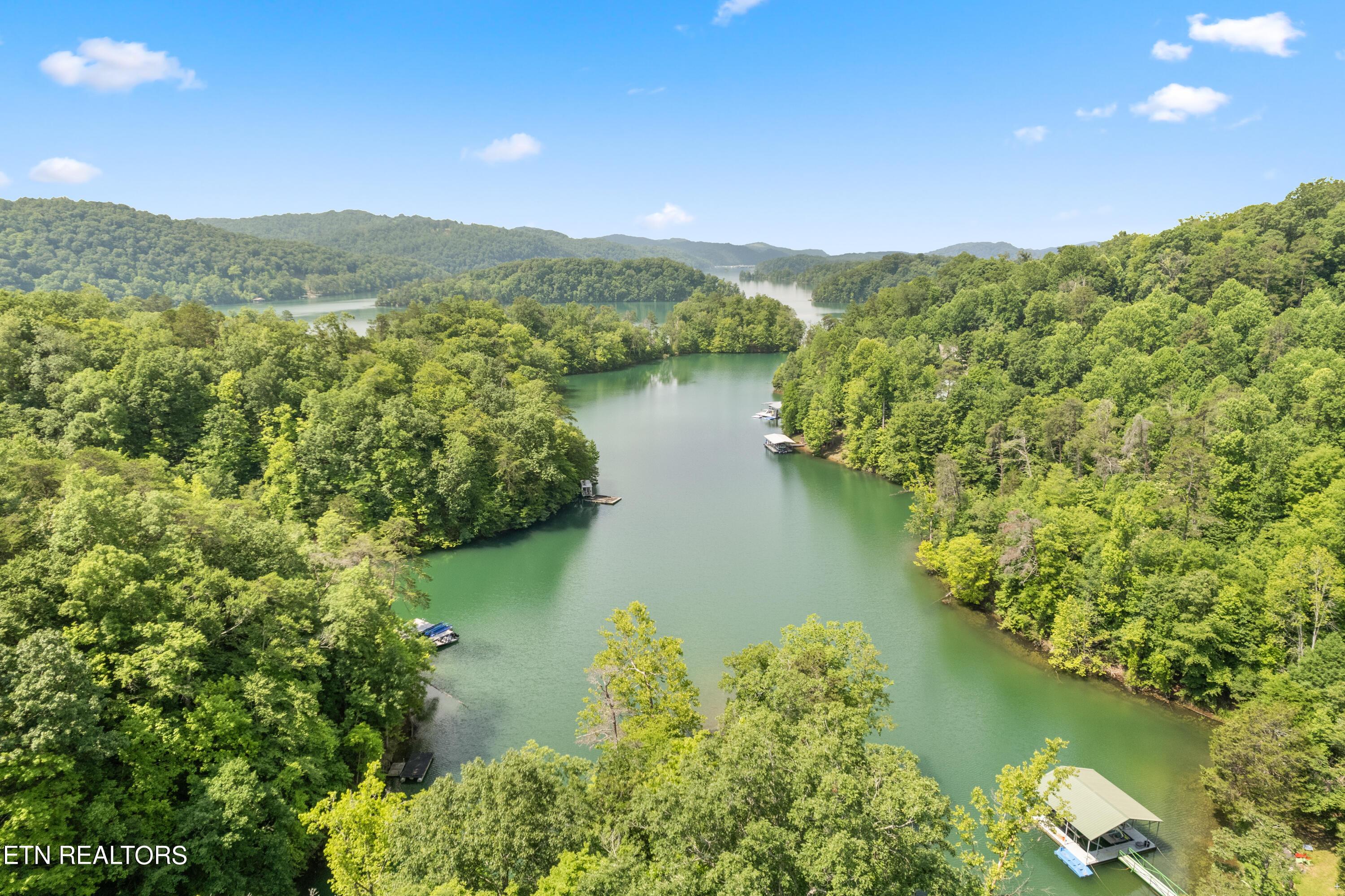 Norris Lake Real Estate - Image# 4