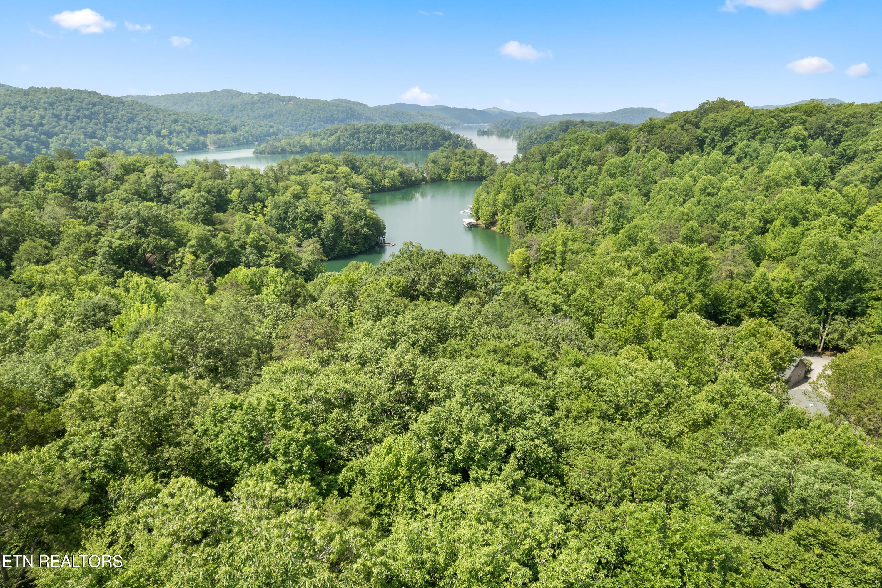 Norris Lake Real Estate - Image# 6