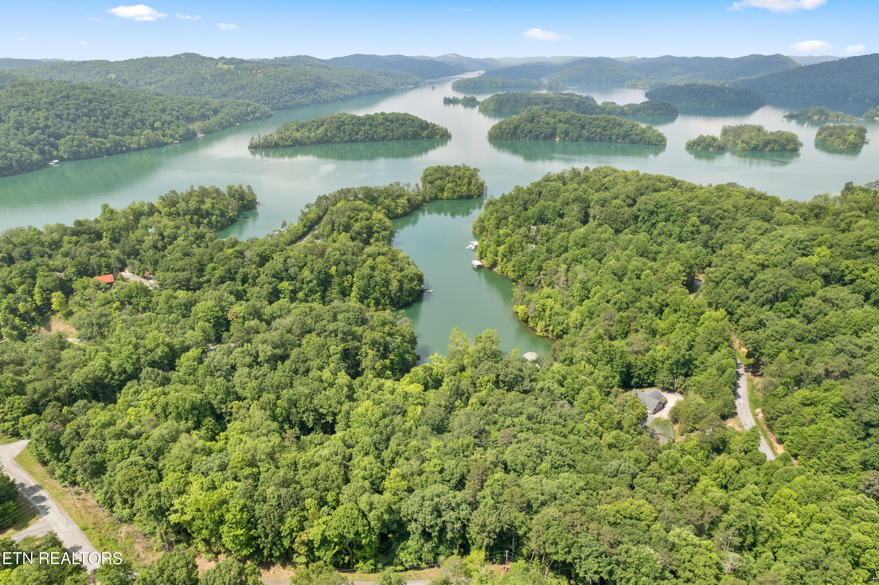 Norris Lake Real Estate - Image# 7