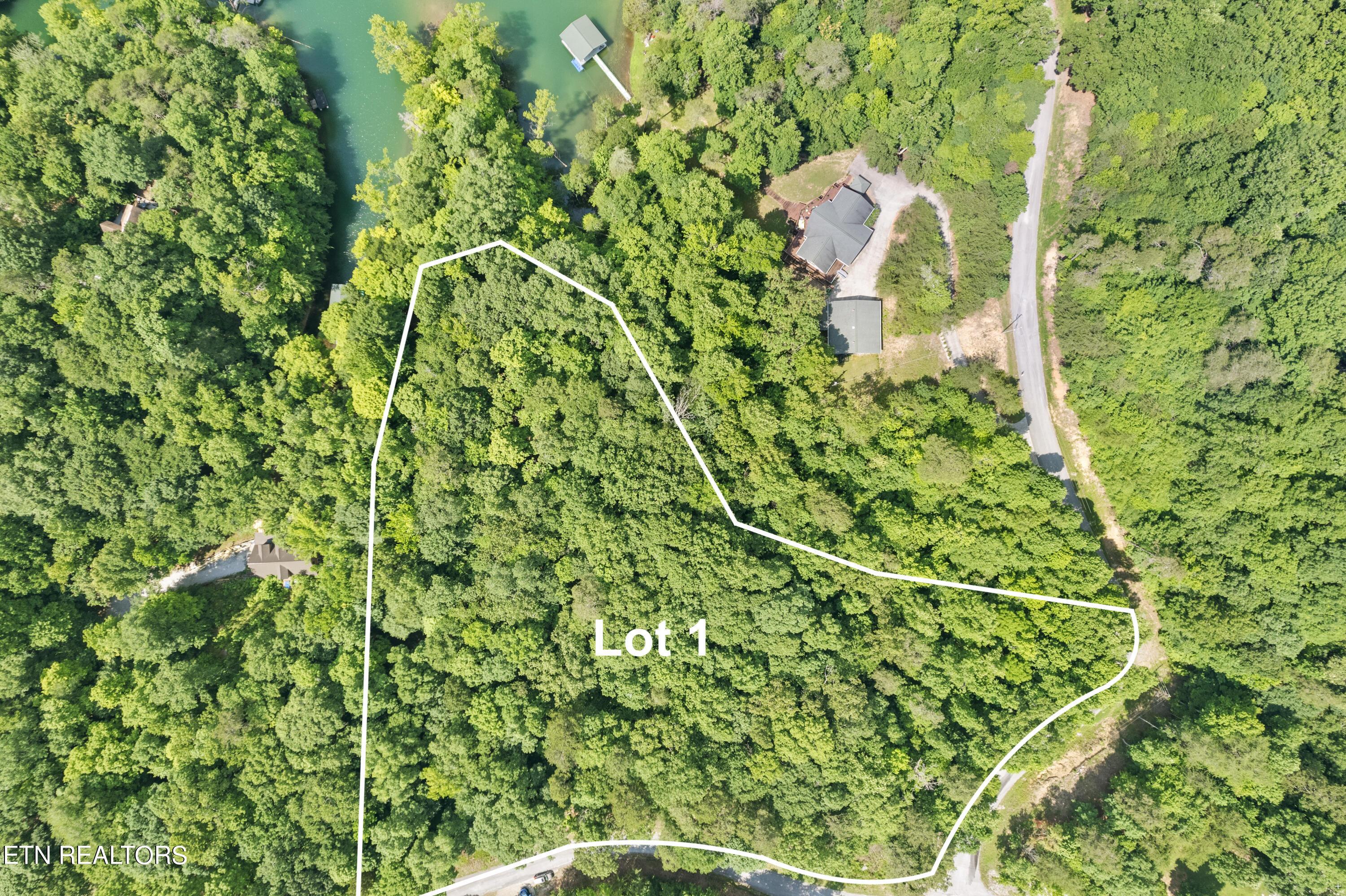 Norris Lake Real Estate - Image# 2