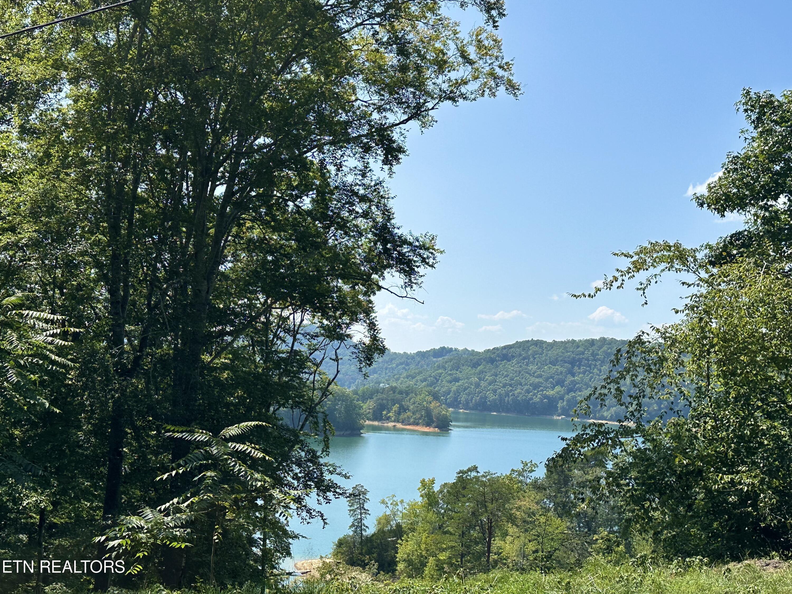 Norris Lake Real Estate - Image# 13