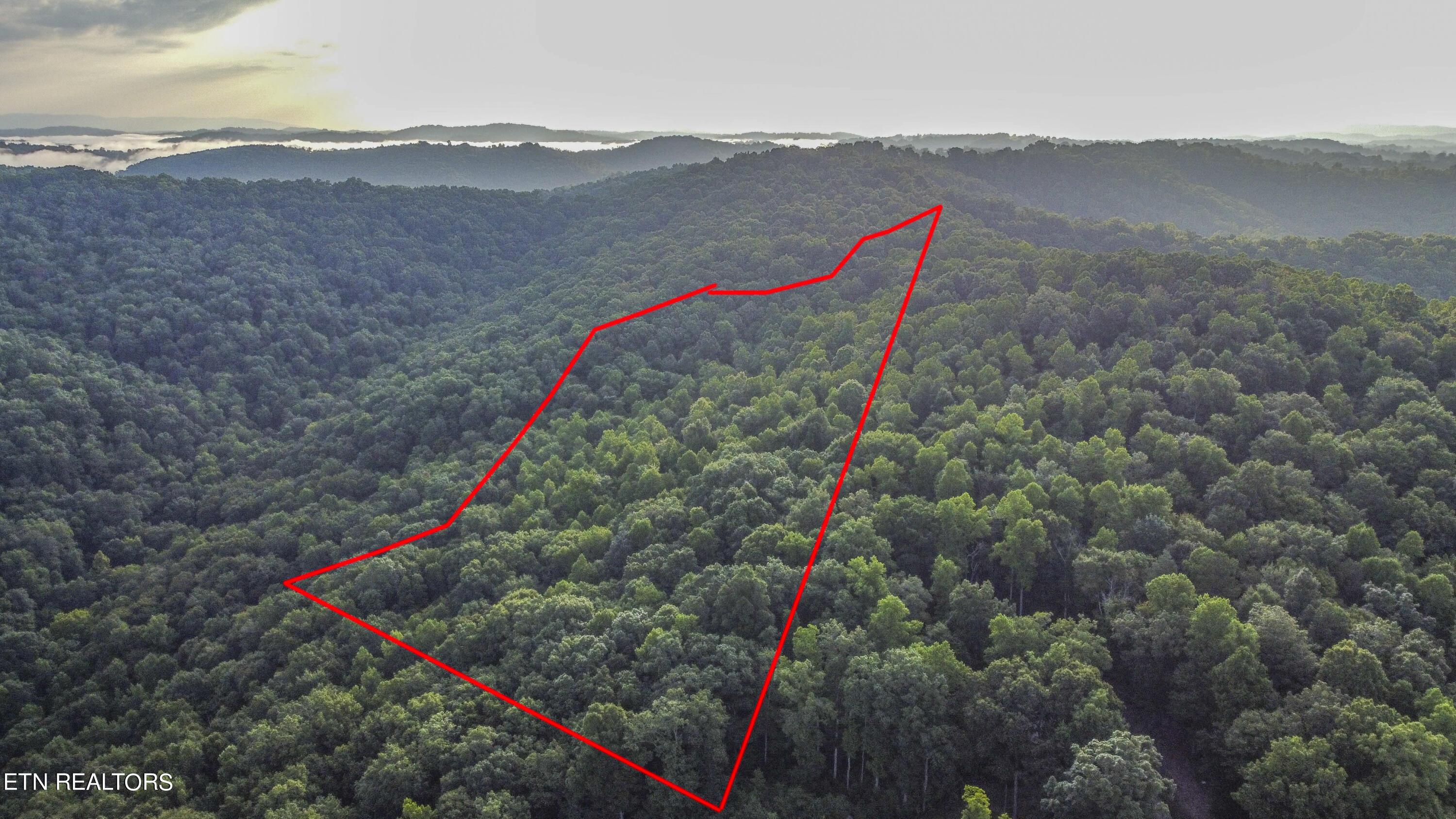 Norris Lake Real Estate - Image# 5