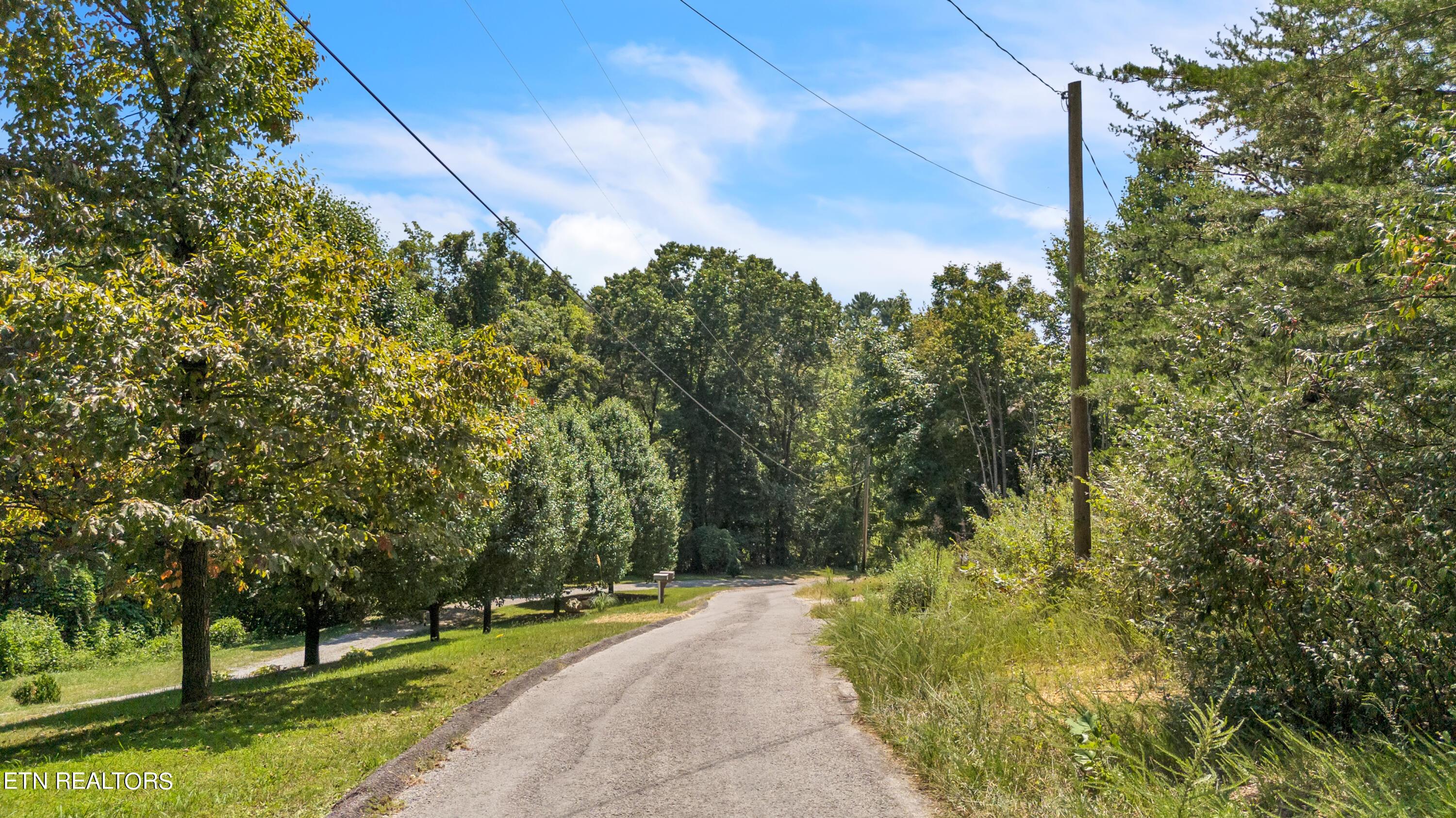 Norris Lake Real Estate - Image# 14