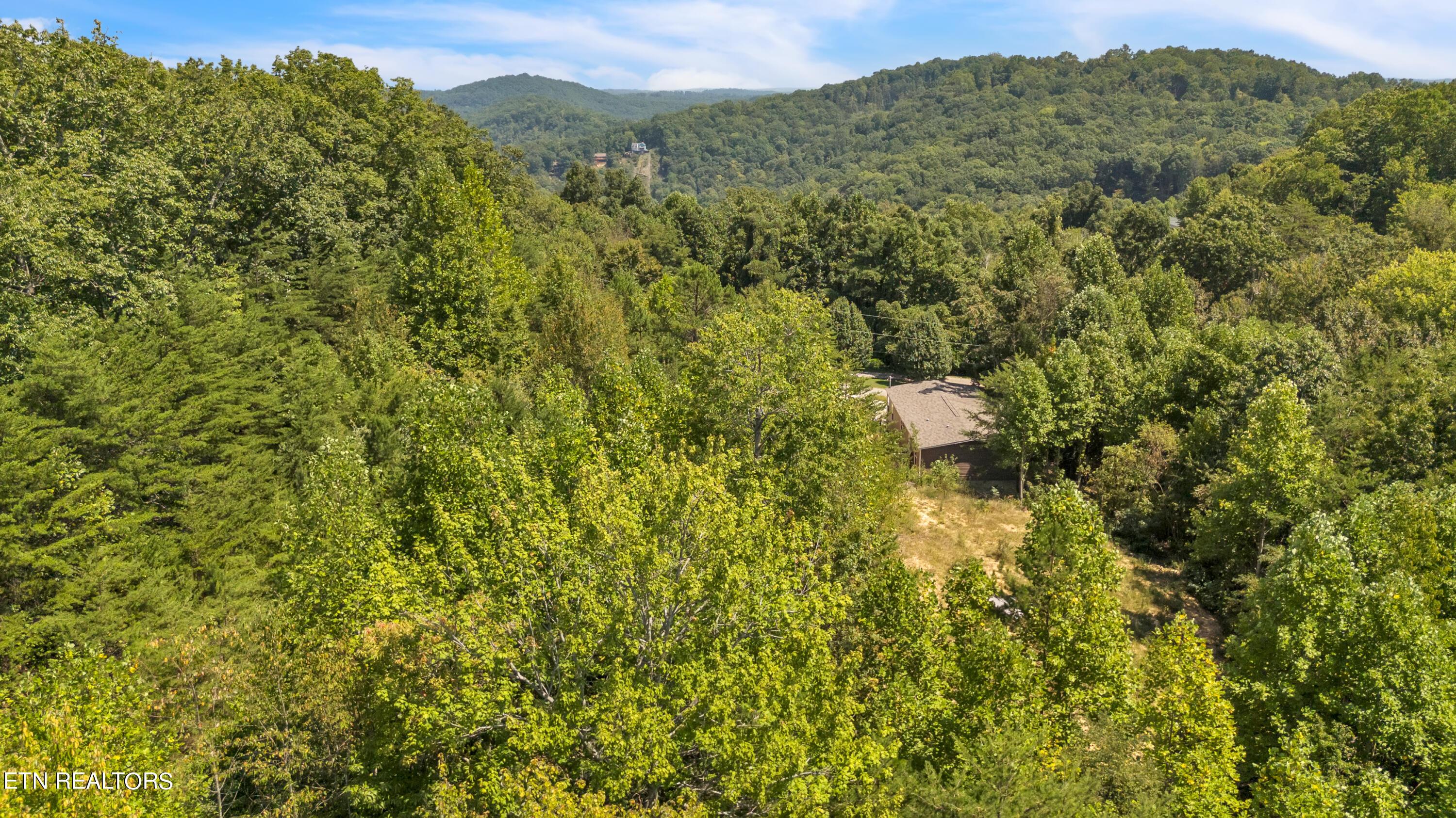 Norris Lake Real Estate - Image# 11