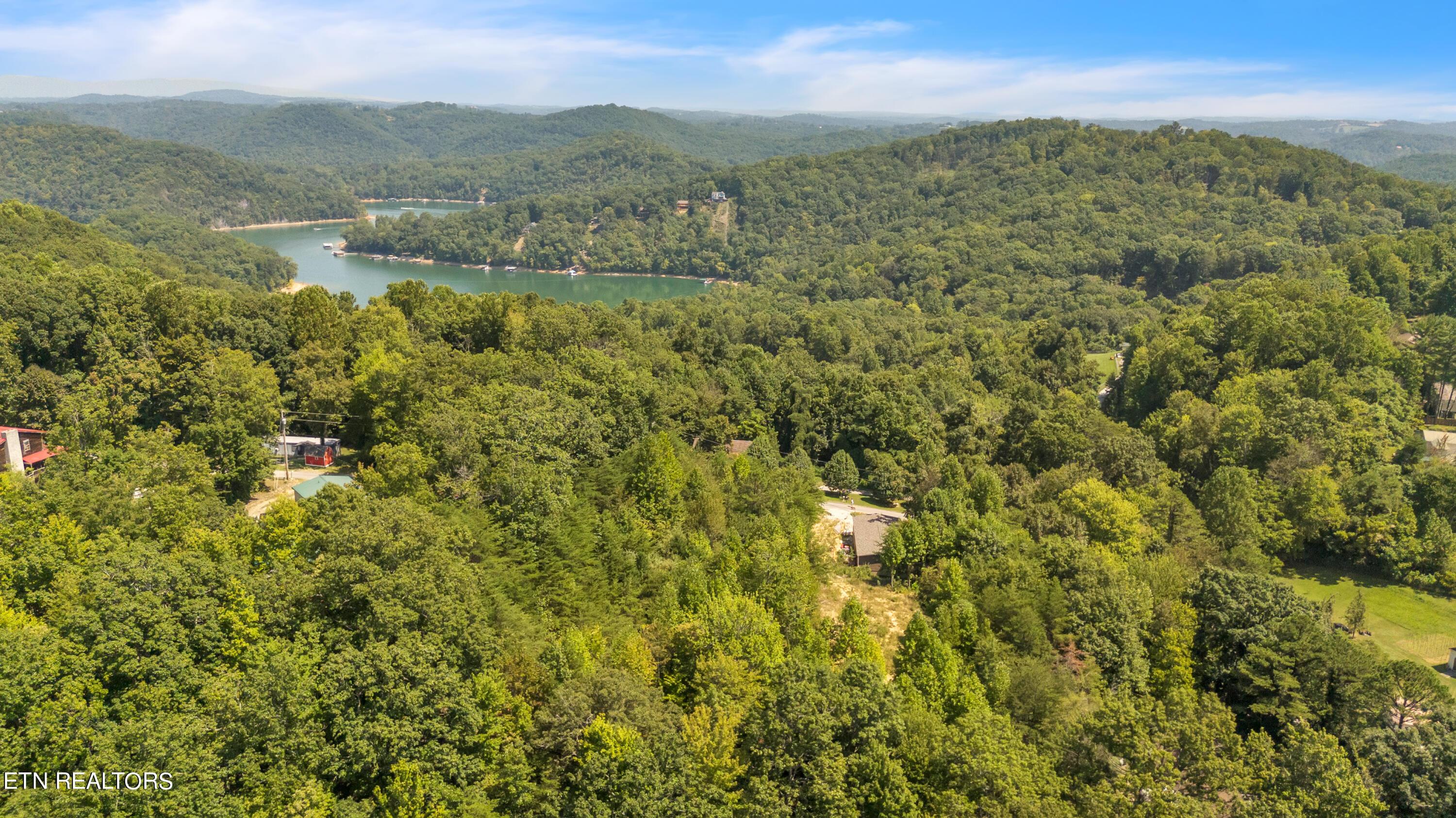 Norris Lake Real Estate - Image# 3