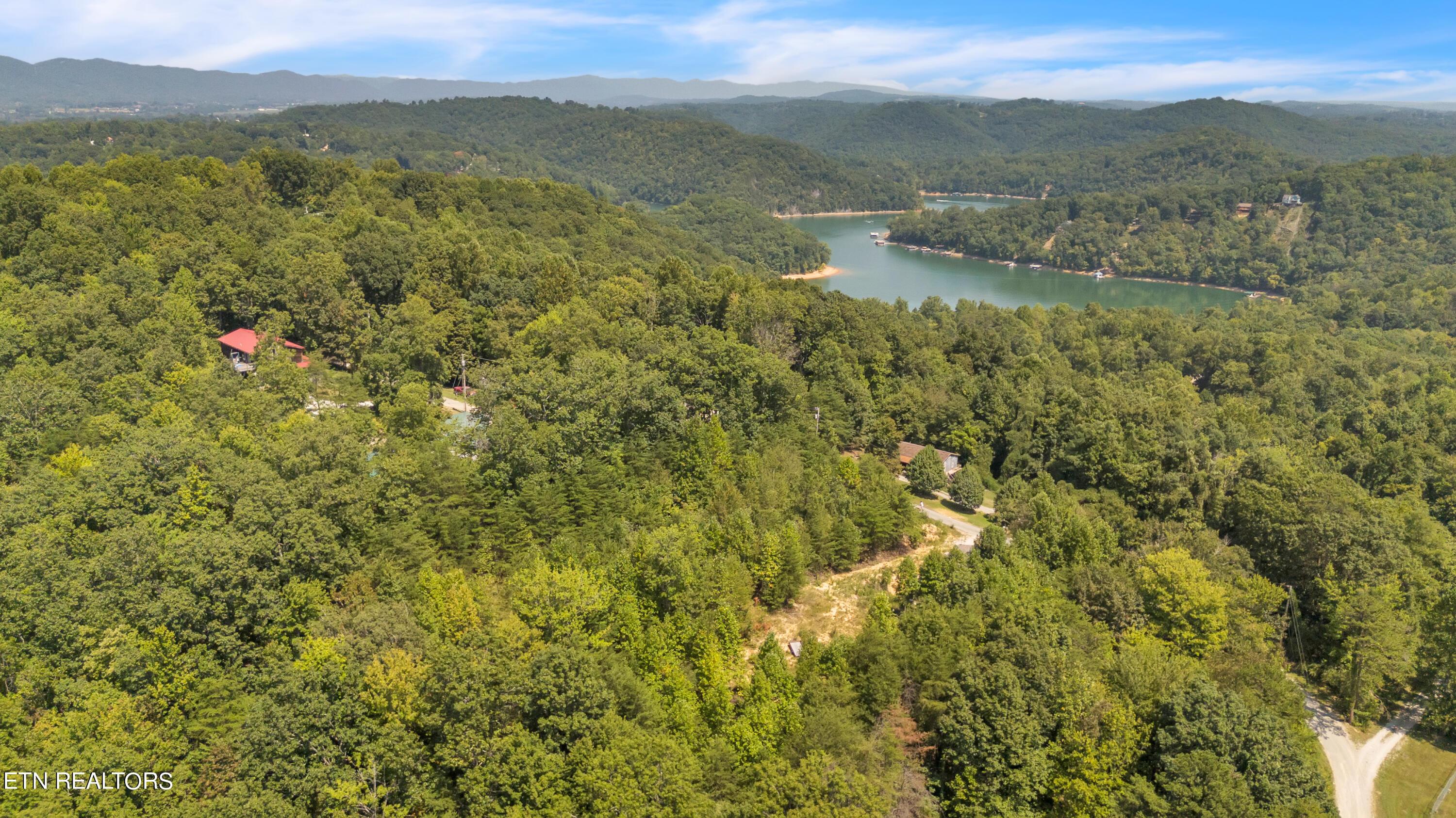 Norris Lake Real Estate - Image# 1