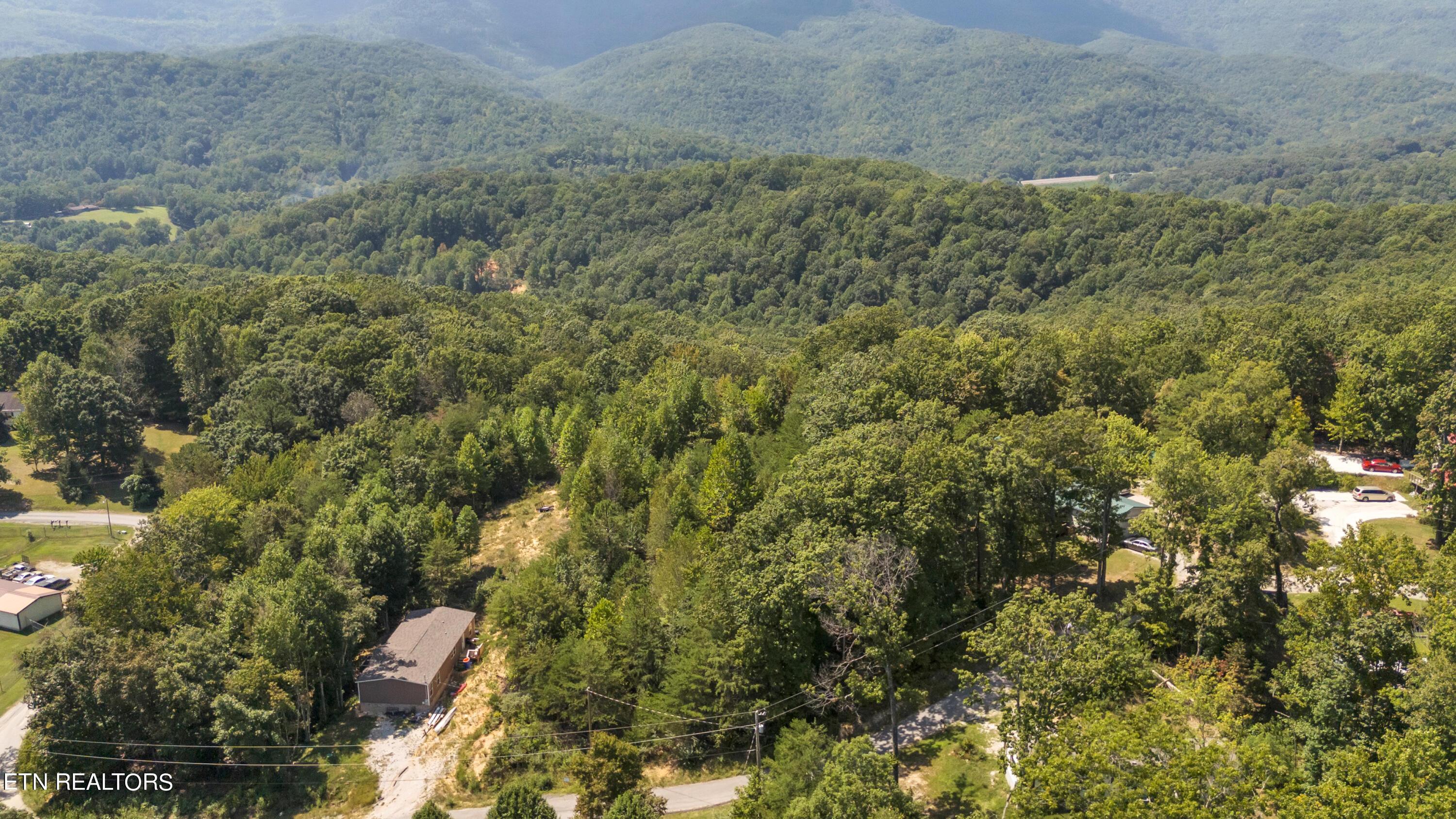 Norris Lake Real Estate - Image# 12