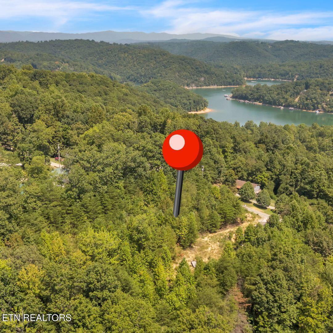 Norris Lake Real Estate - Image# 2